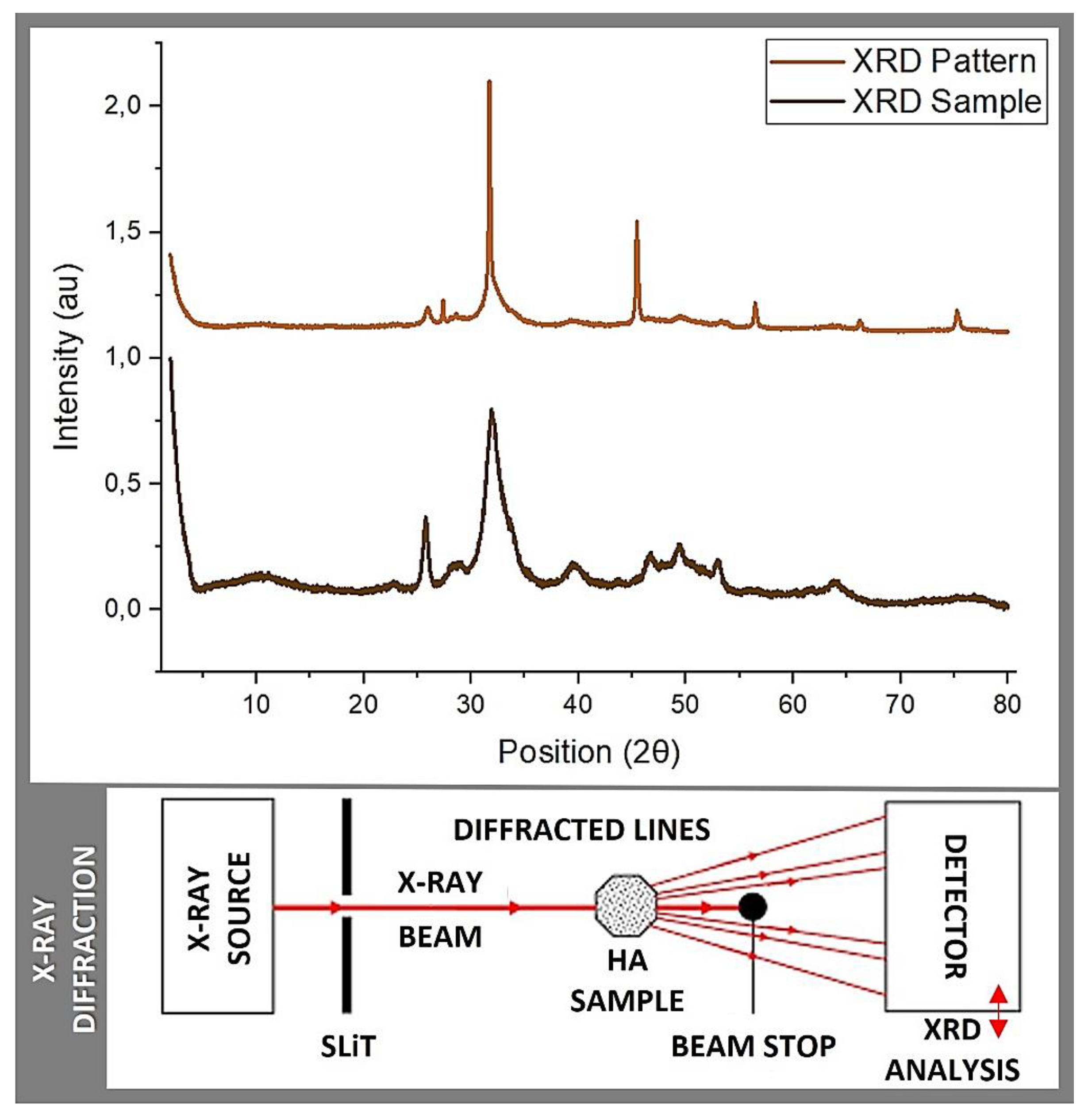 Preprints 111553 g004