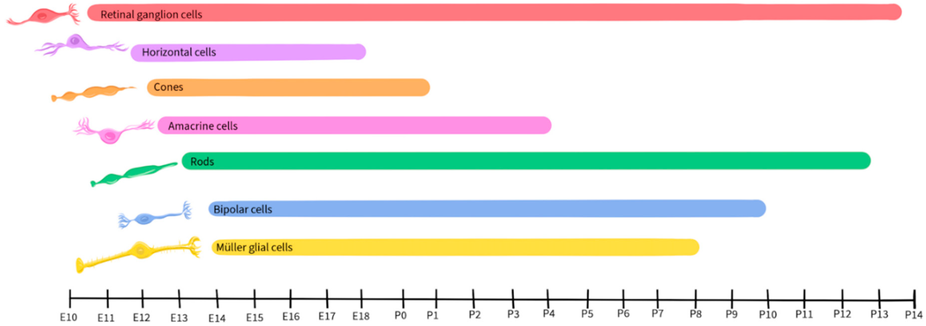 Preprints 96175 g002