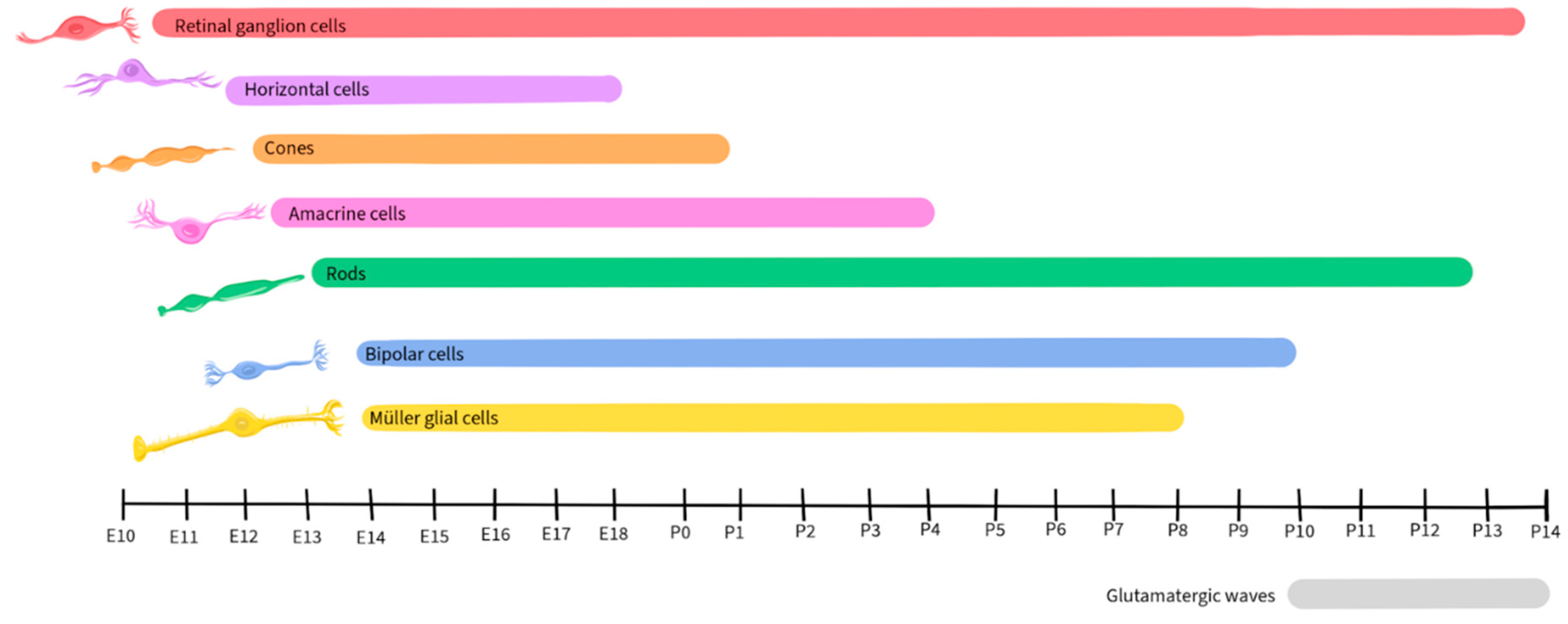 Preprints 96175 g003