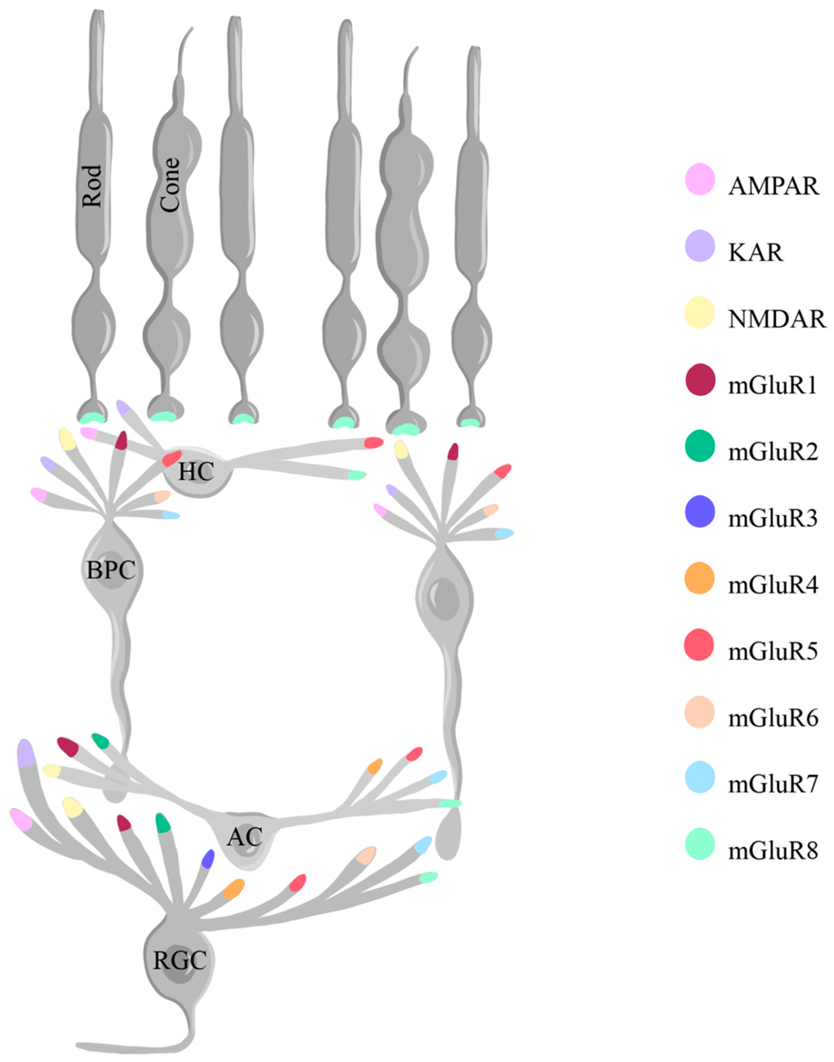 Preprints 96175 g004