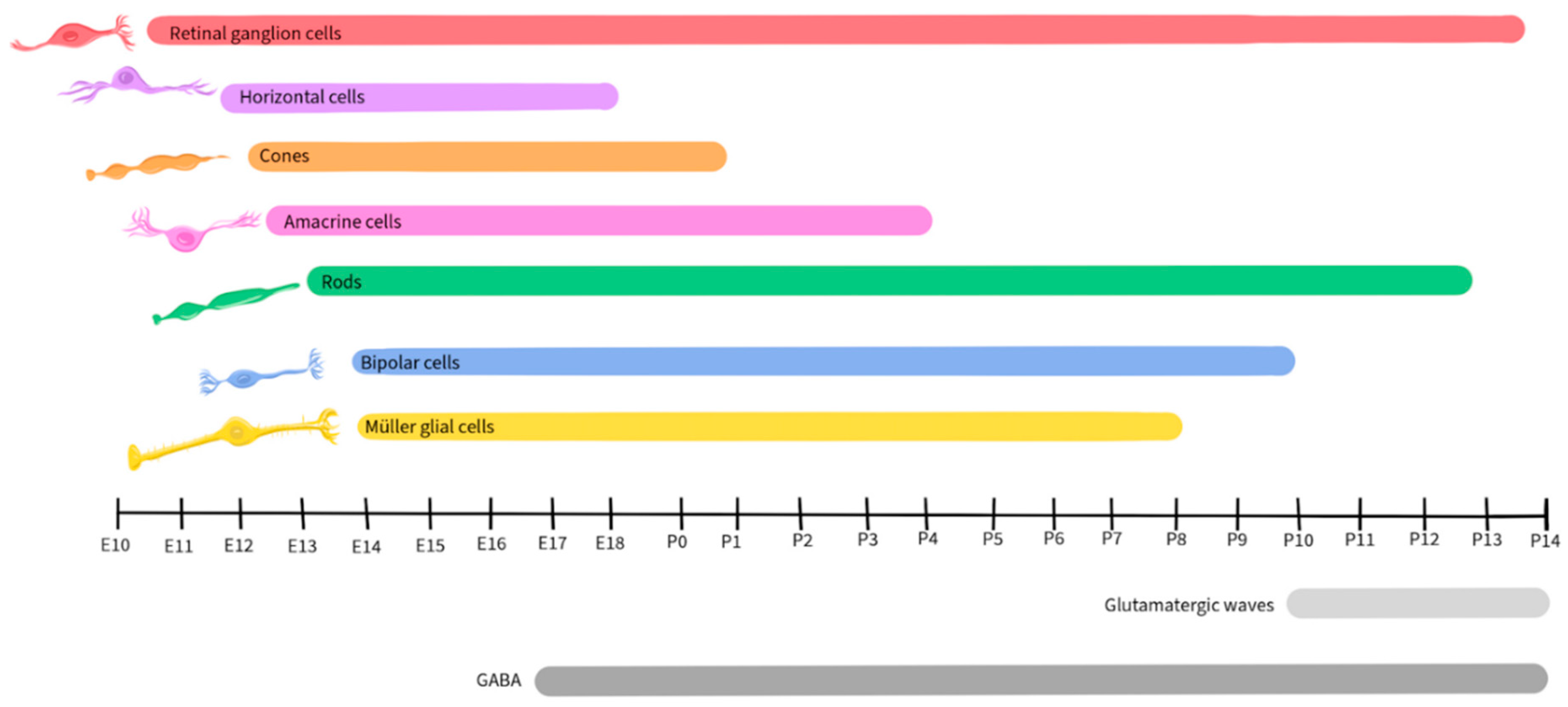 Preprints 96175 g005