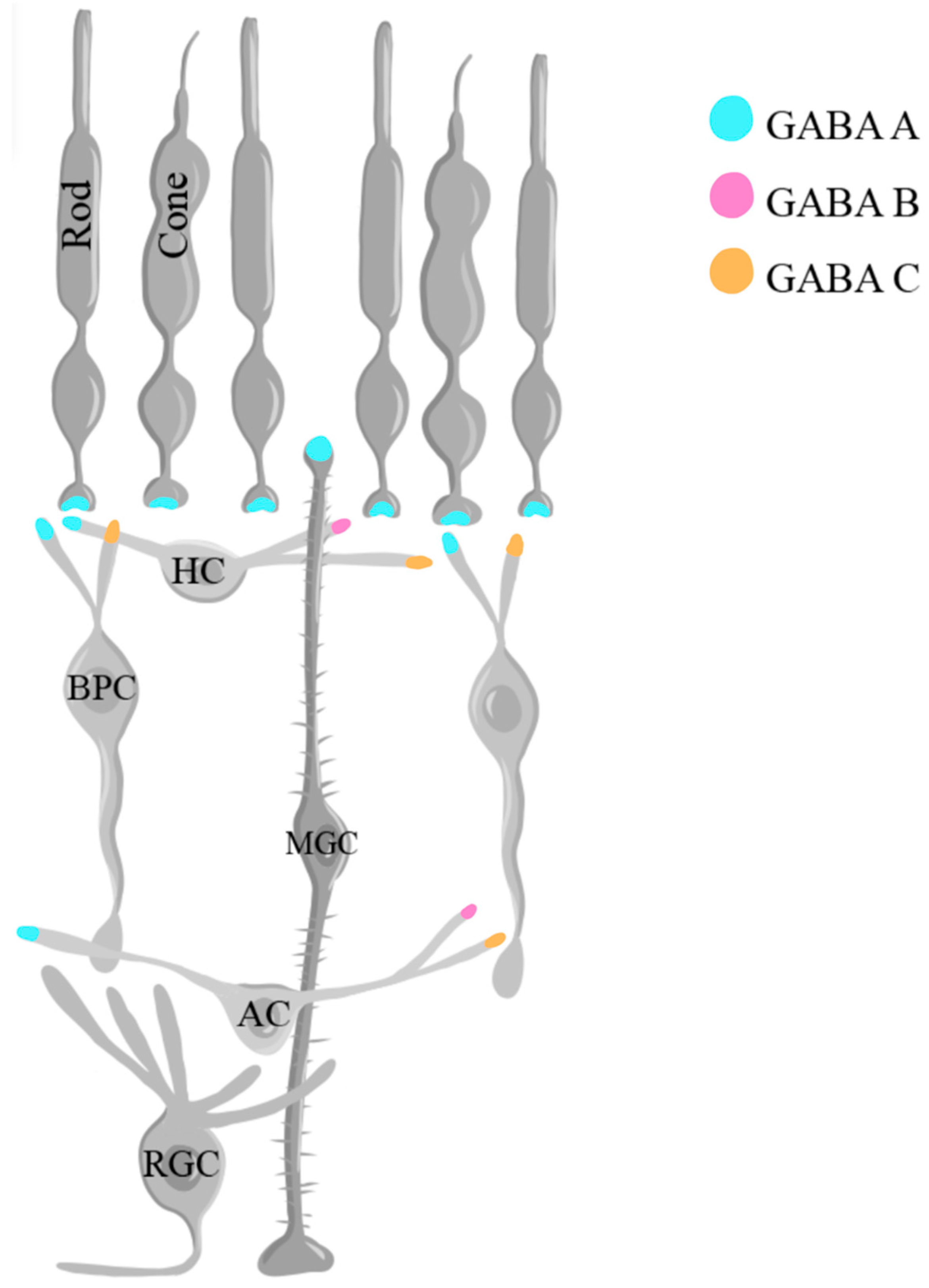 Preprints 96175 g006