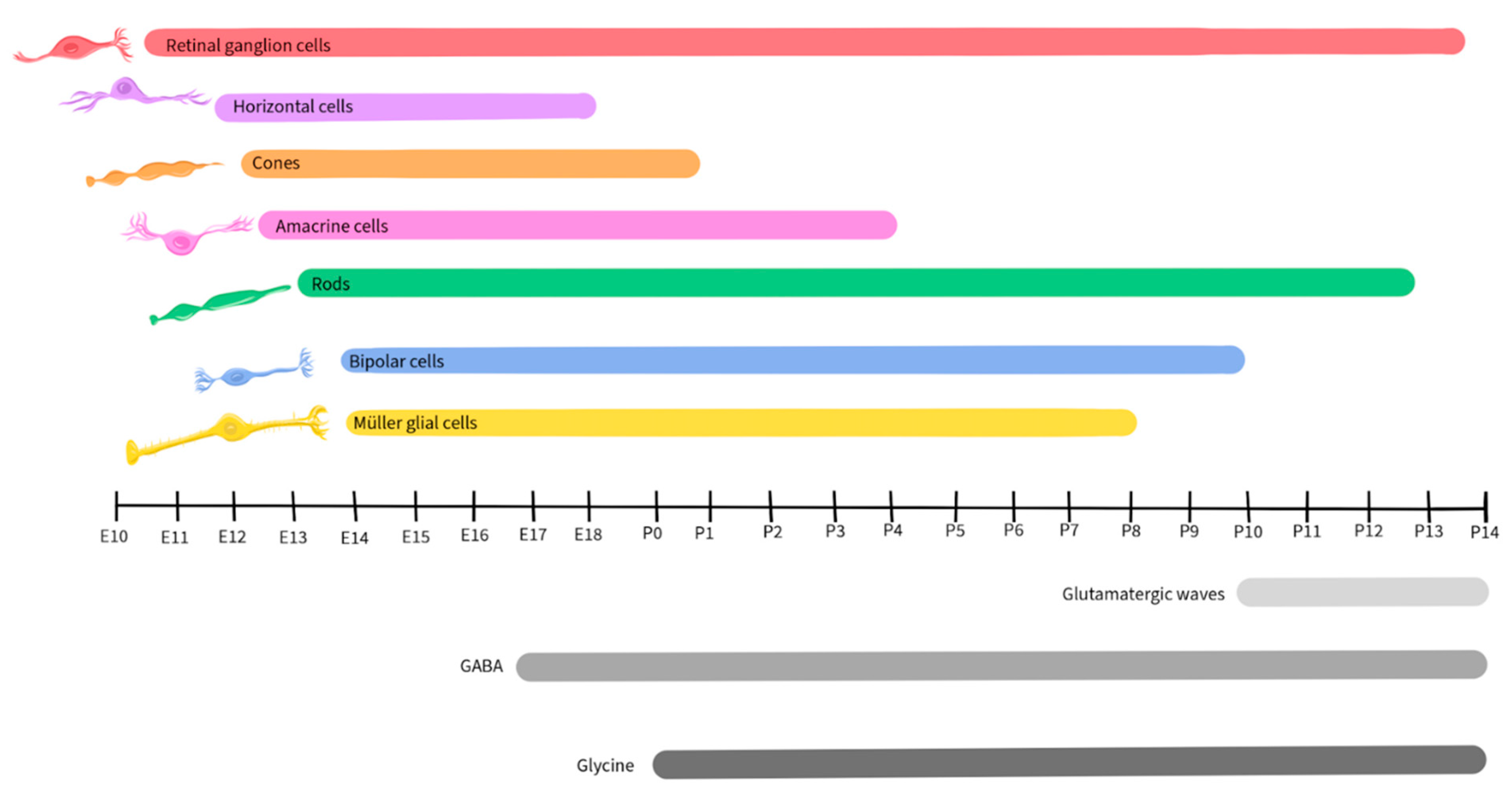 Preprints 96175 g007