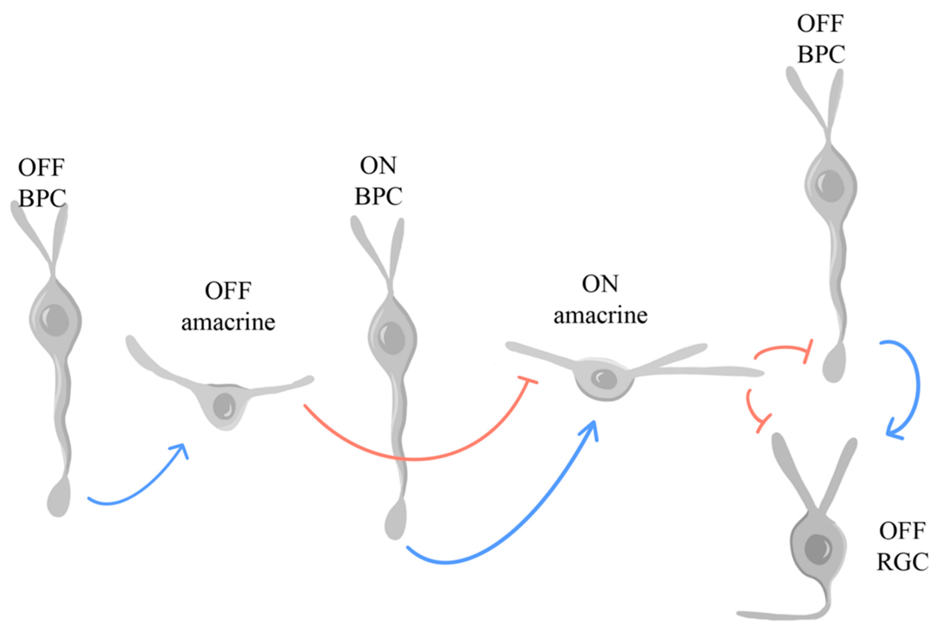 Preprints 96175 g008