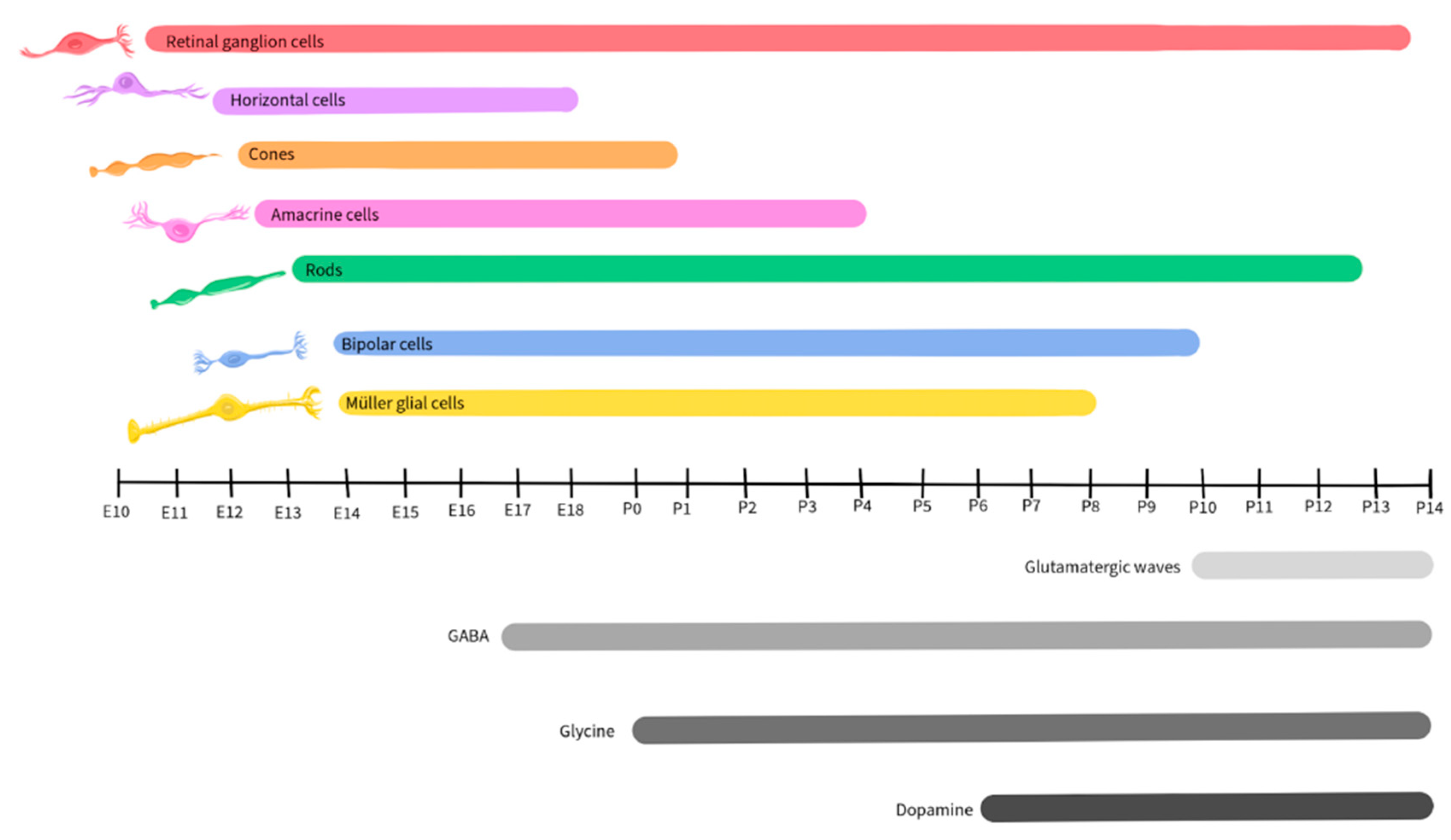 Preprints 96175 g009