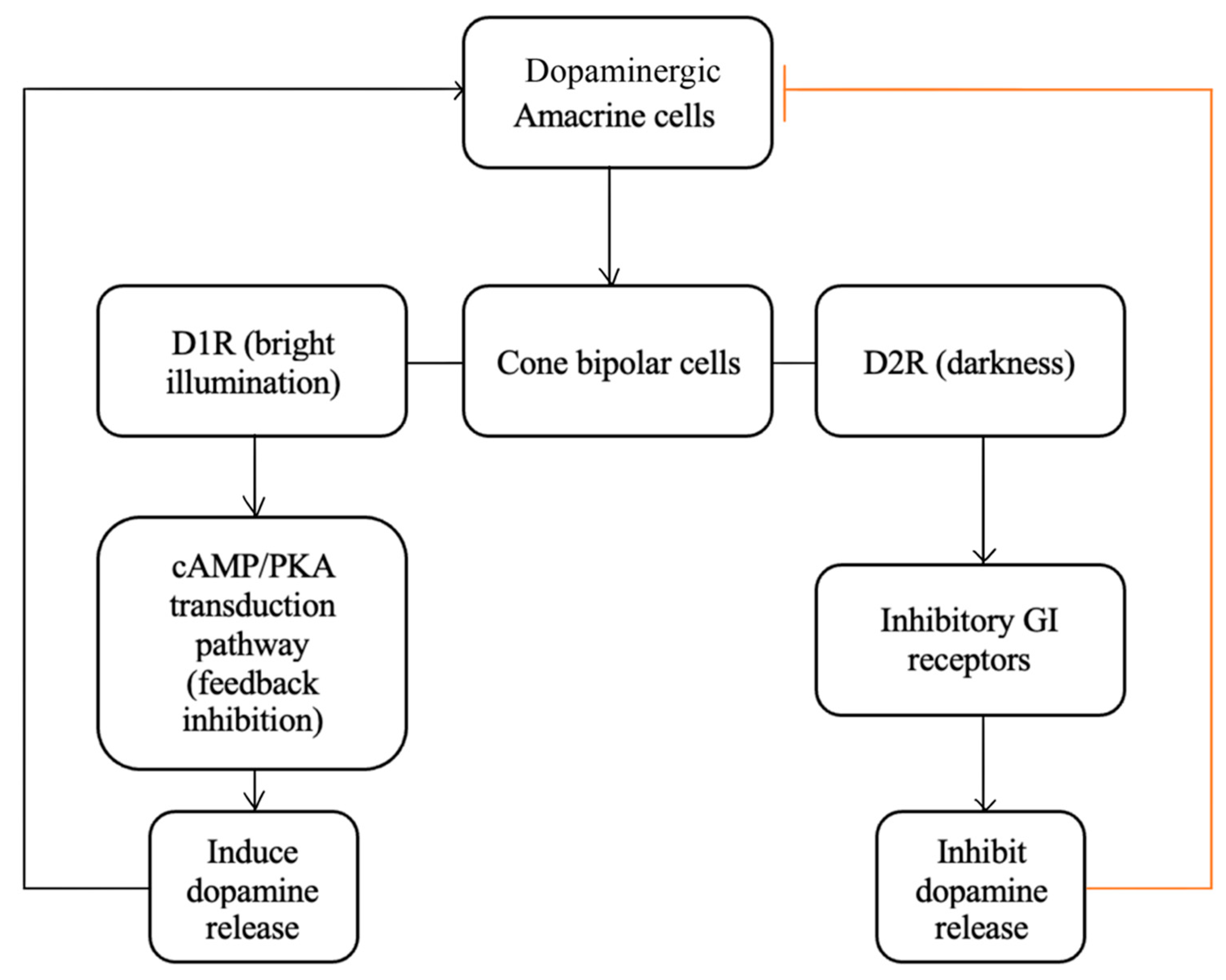 Preprints 96175 g010