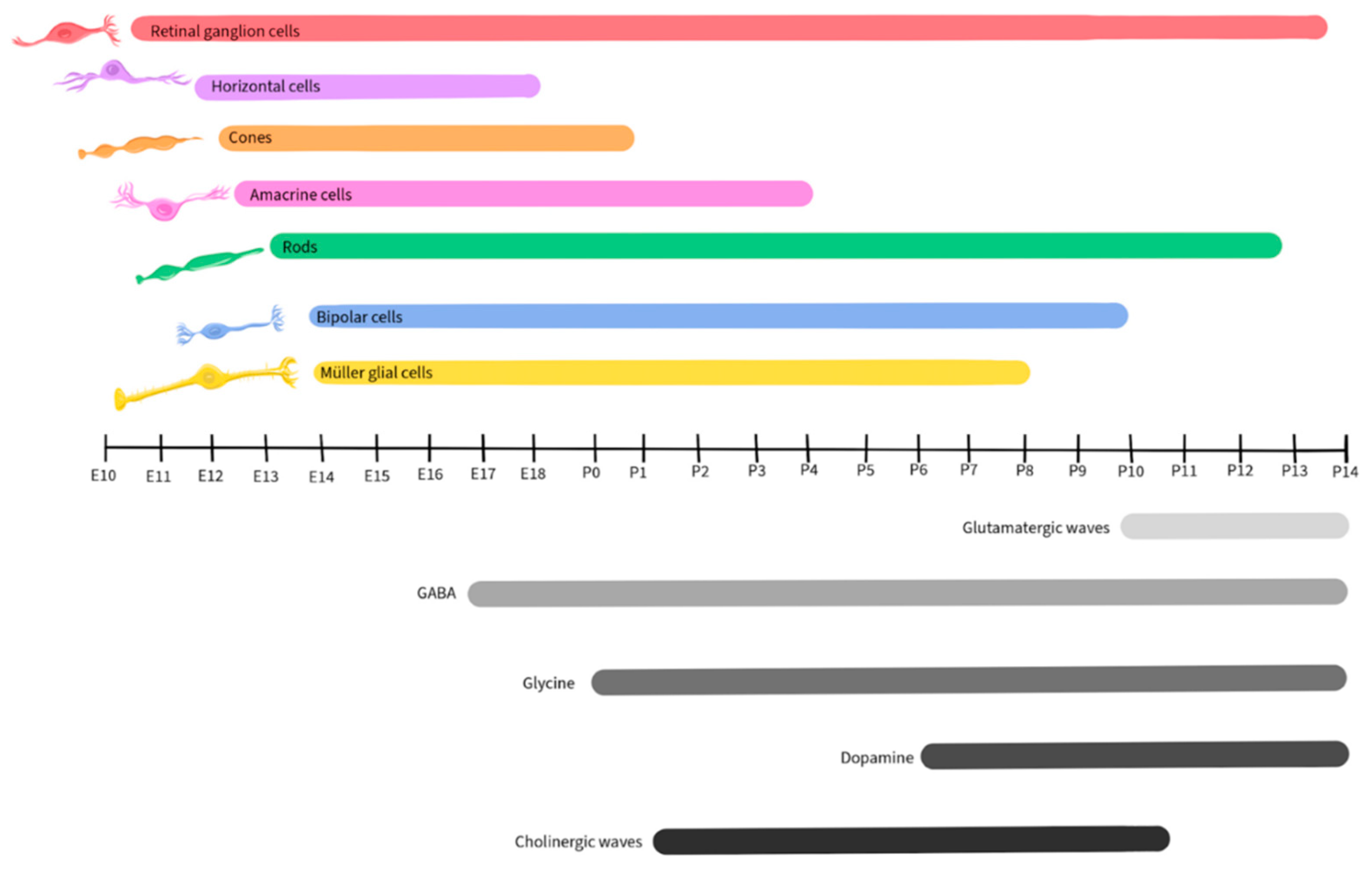 Preprints 96175 g011