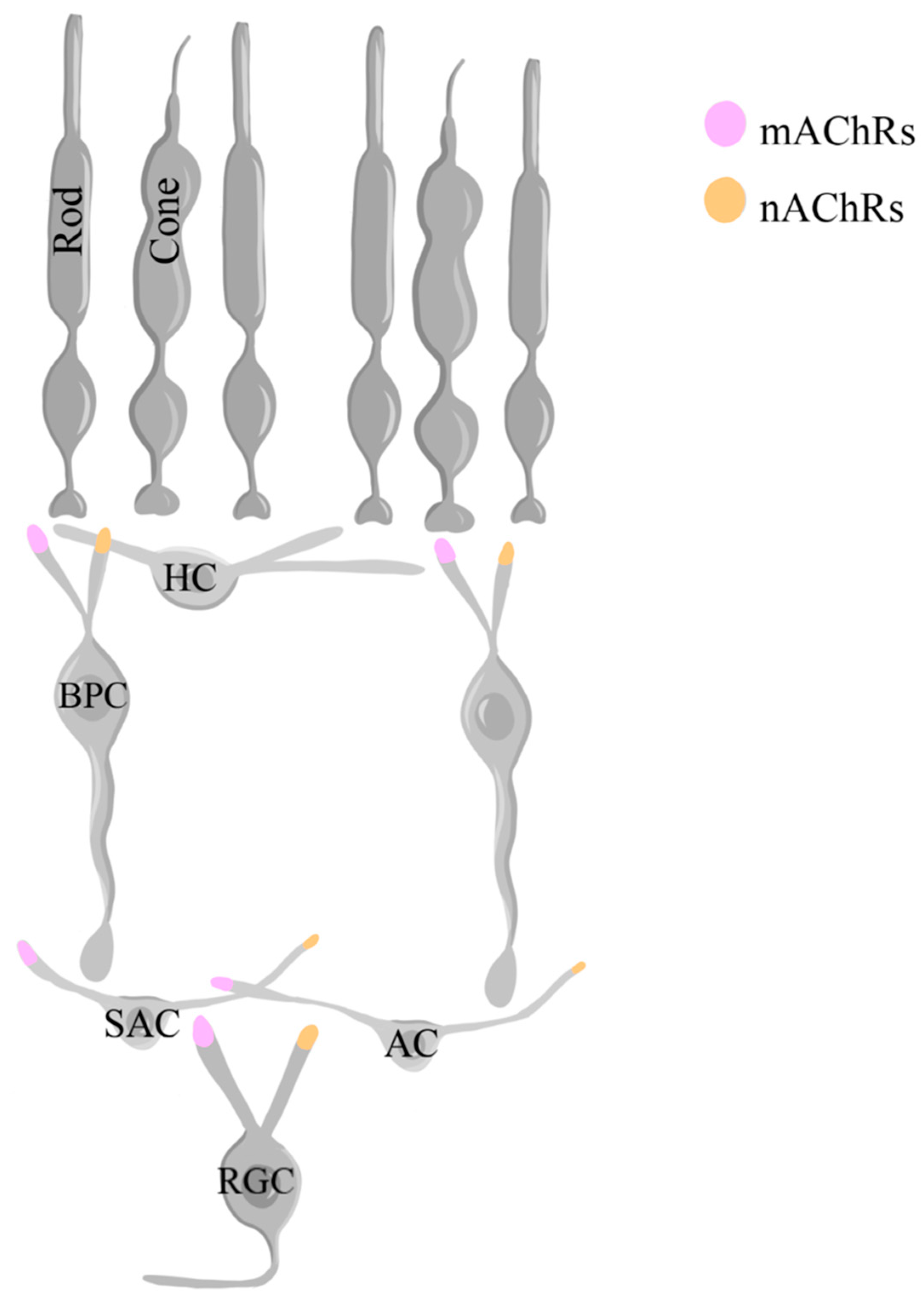 Preprints 96175 g012