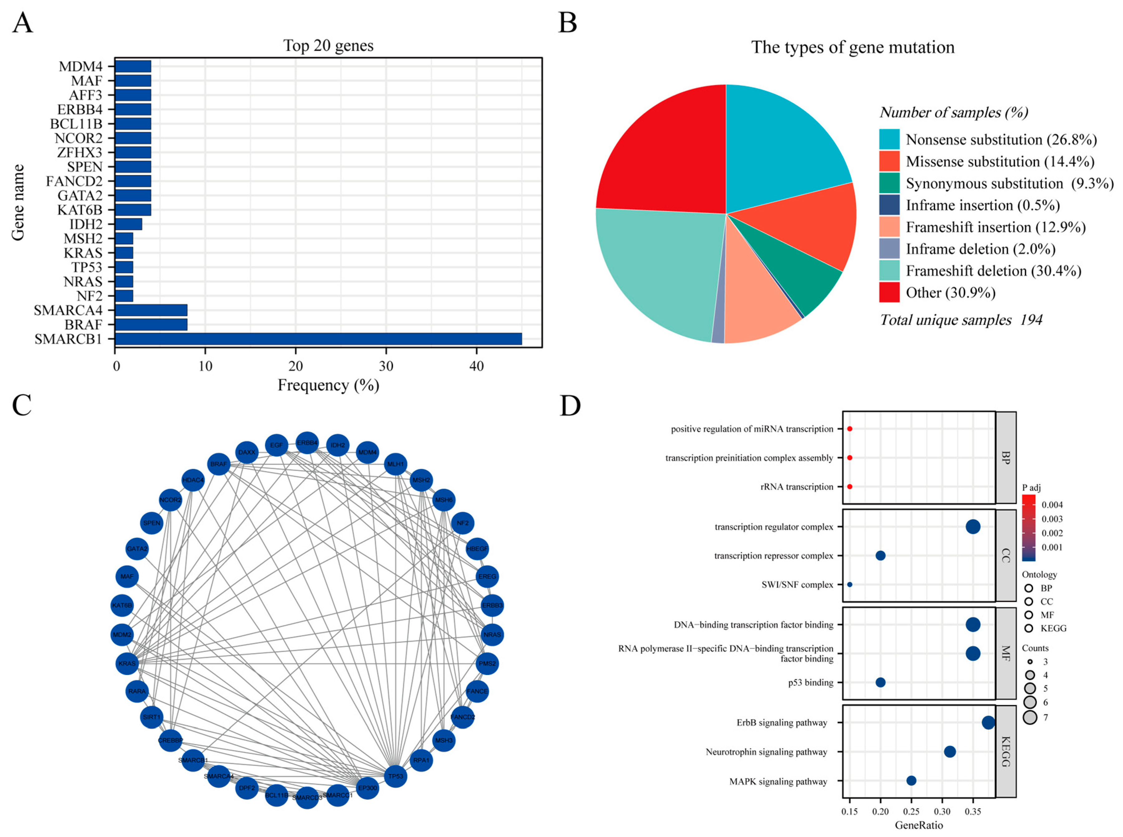 Preprints 96016 g007