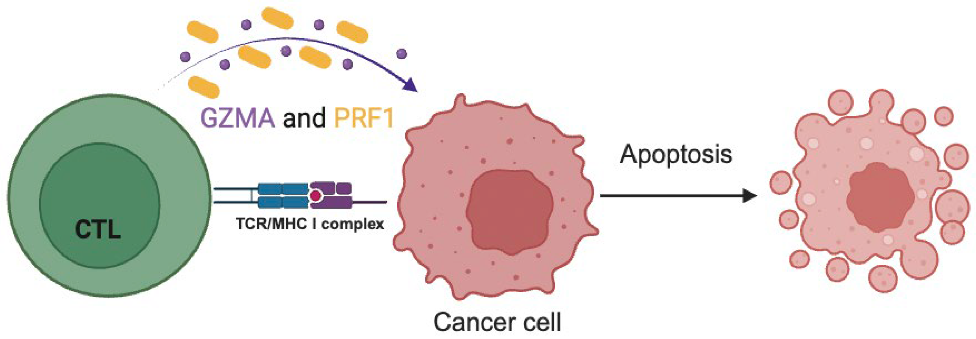 Preprints 97779 g001