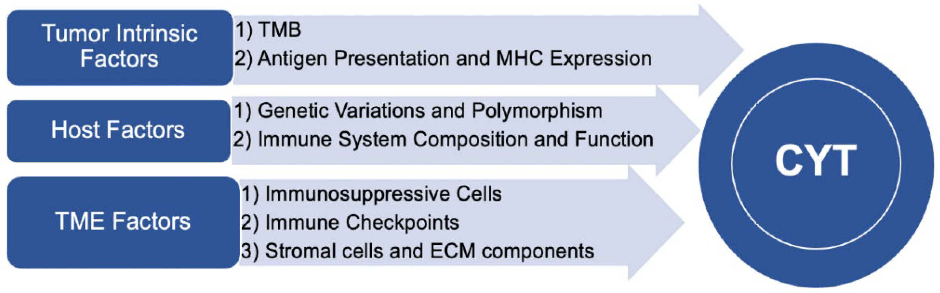 Preprints 97779 g002