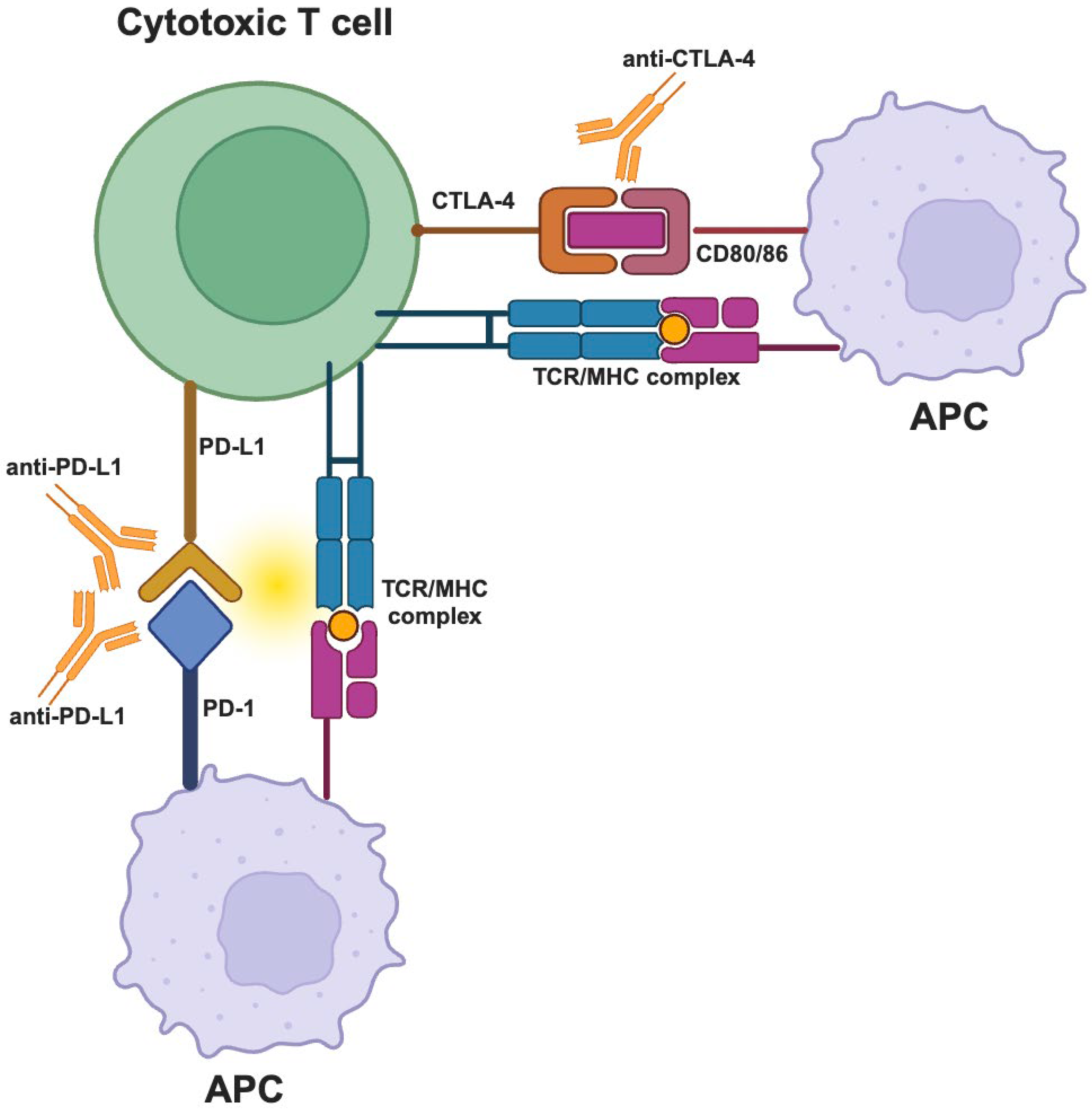 Preprints 97779 g003