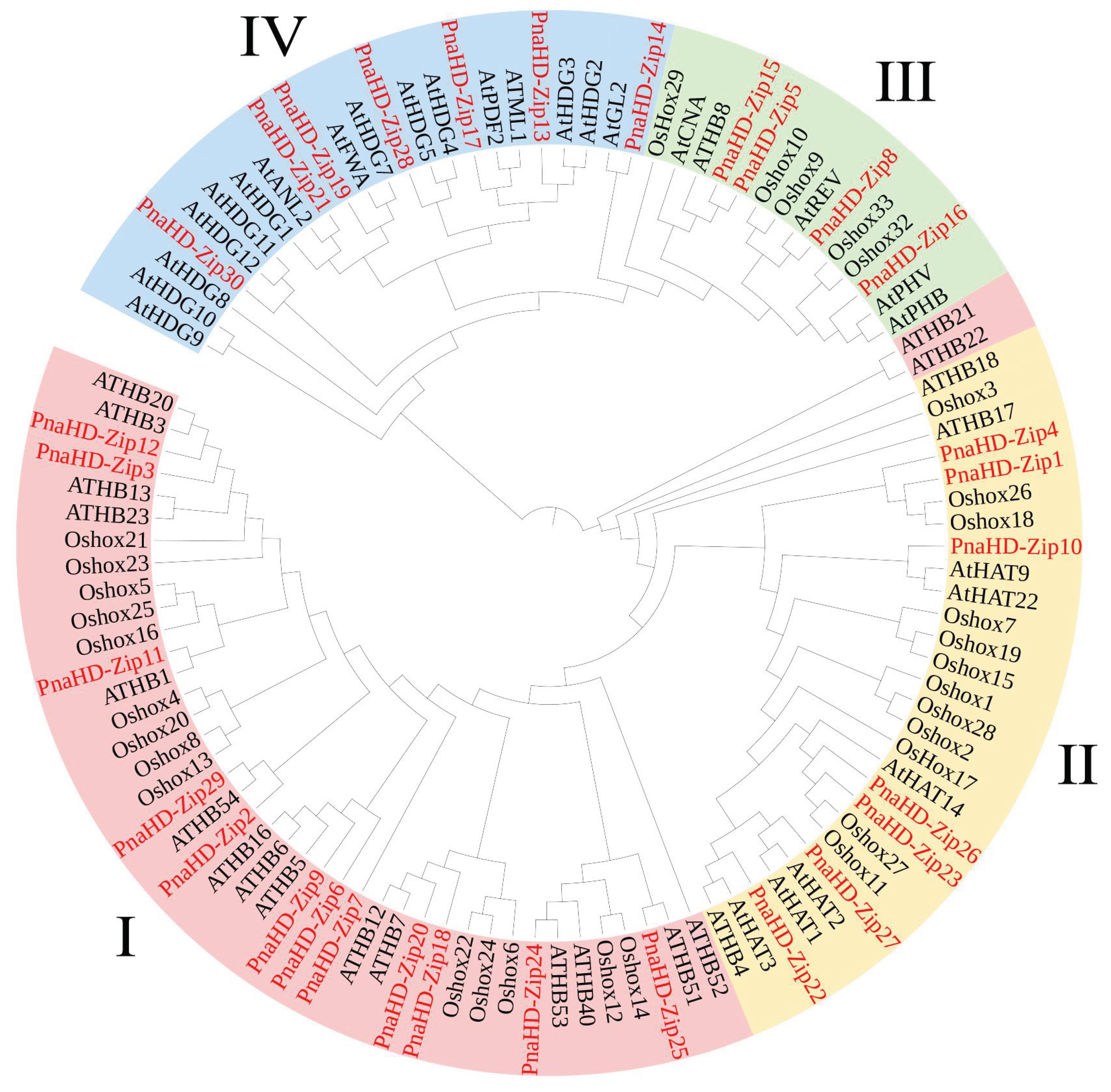 Preprints 73681 g001