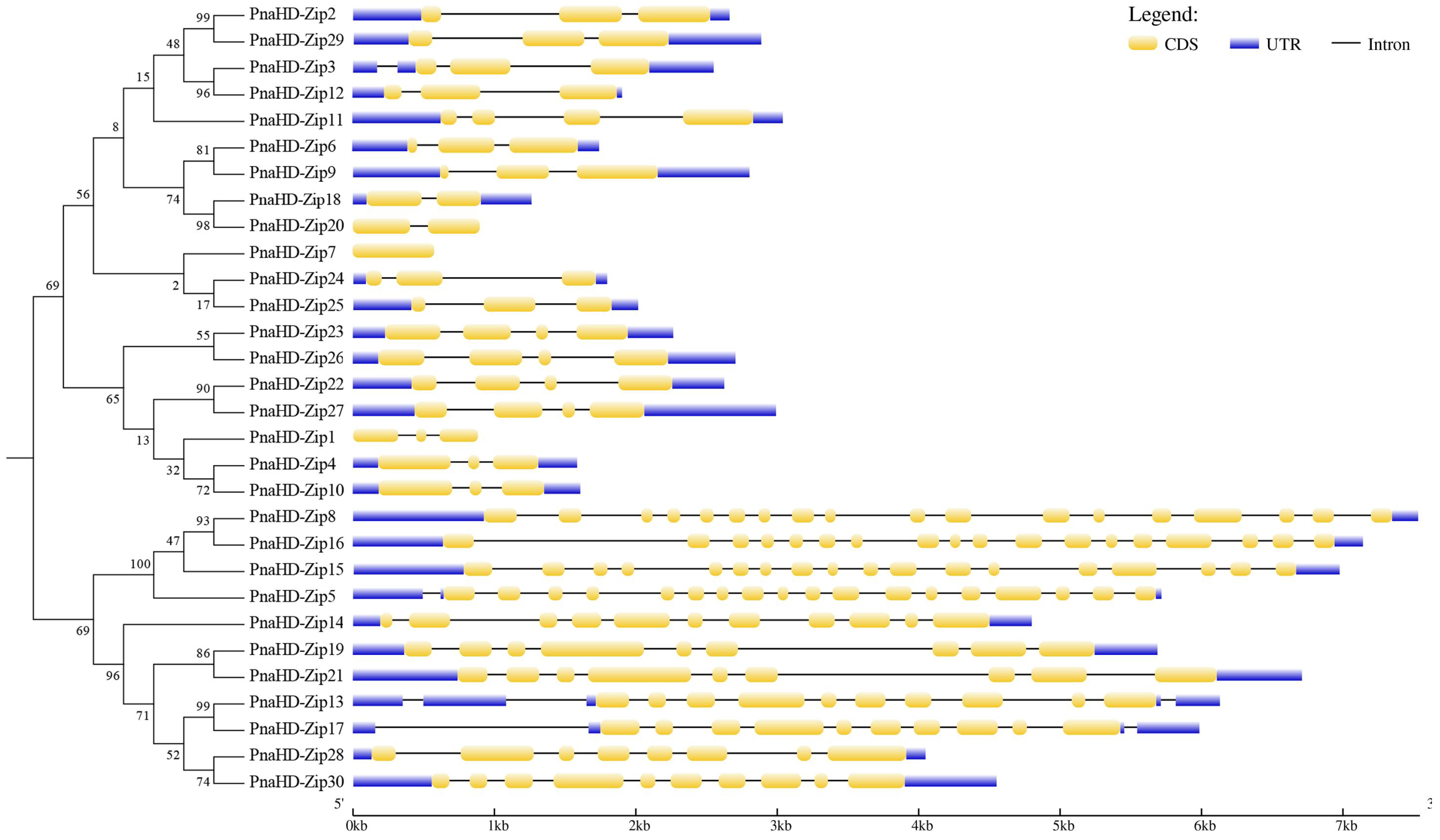 Preprints 73681 g002