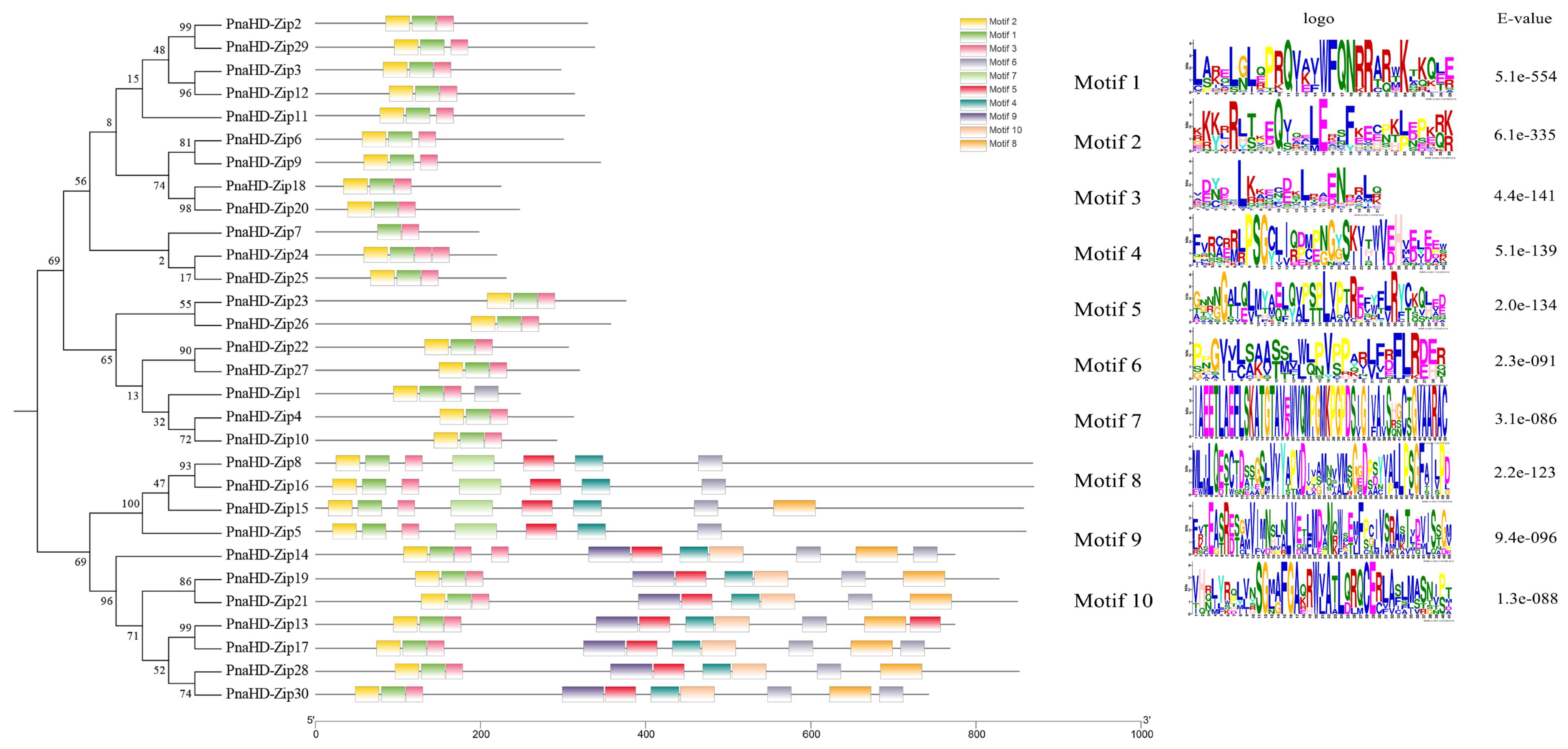 Preprints 73681 g003