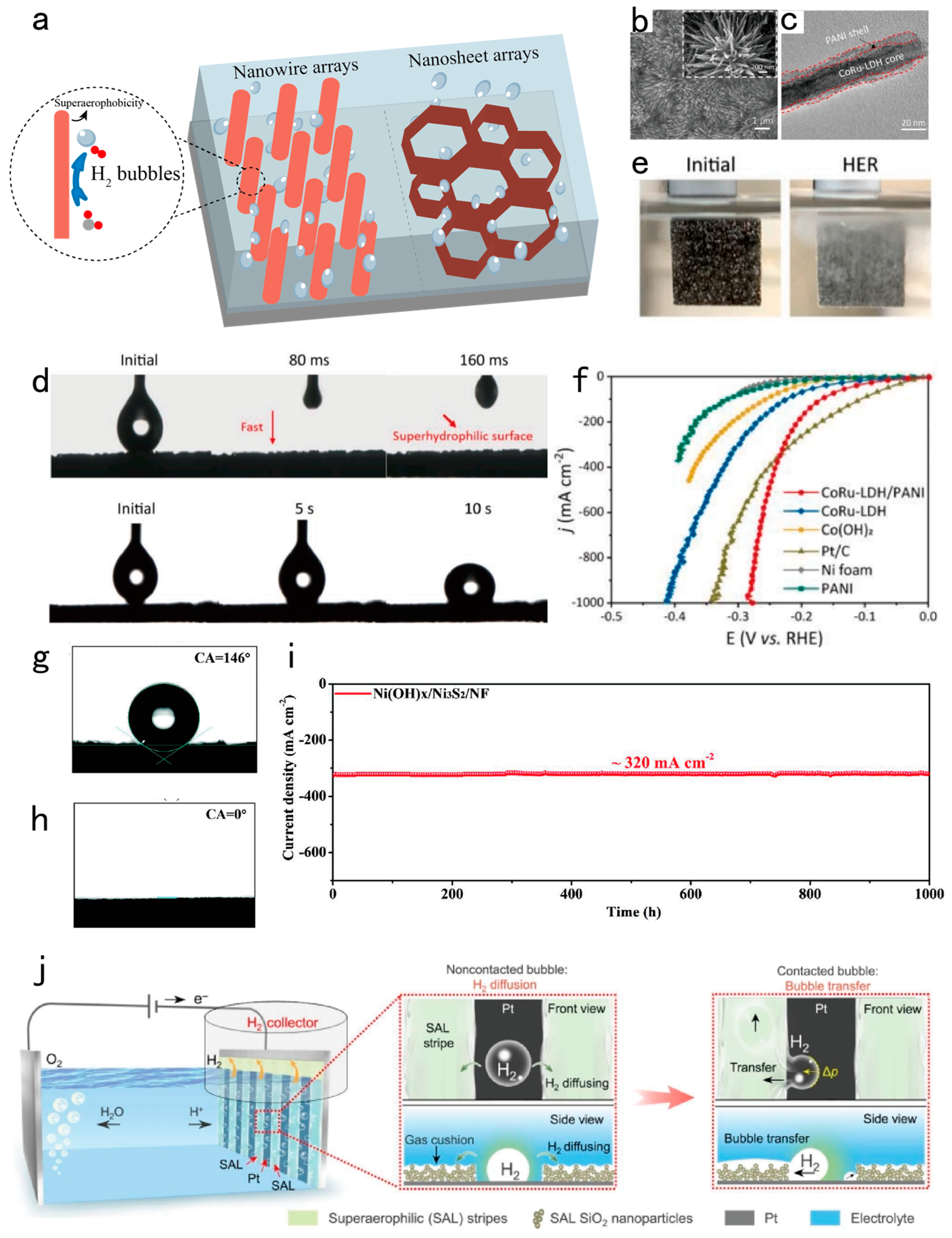 Preprints 106358 g005