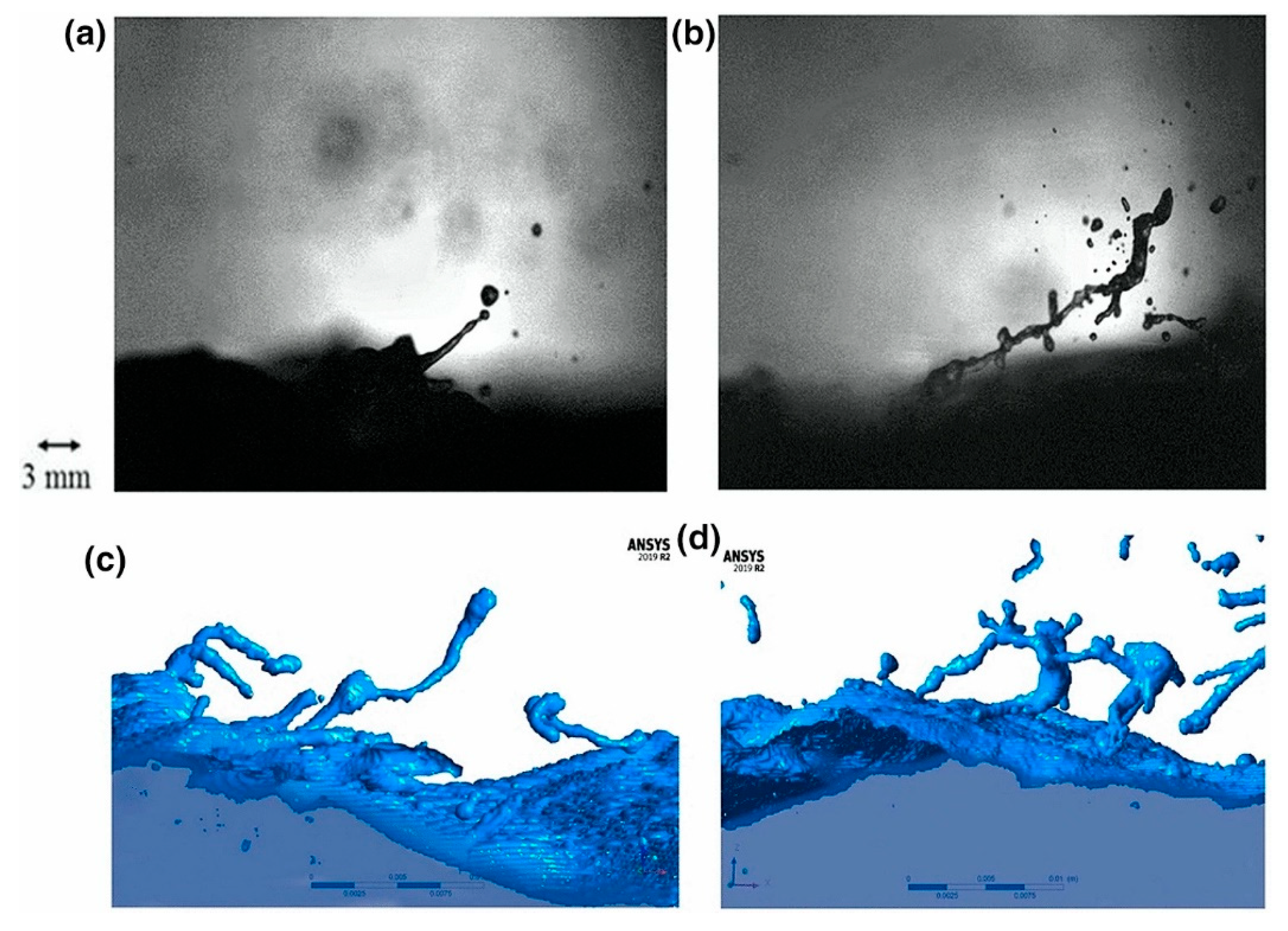 Preprints 71620 g002