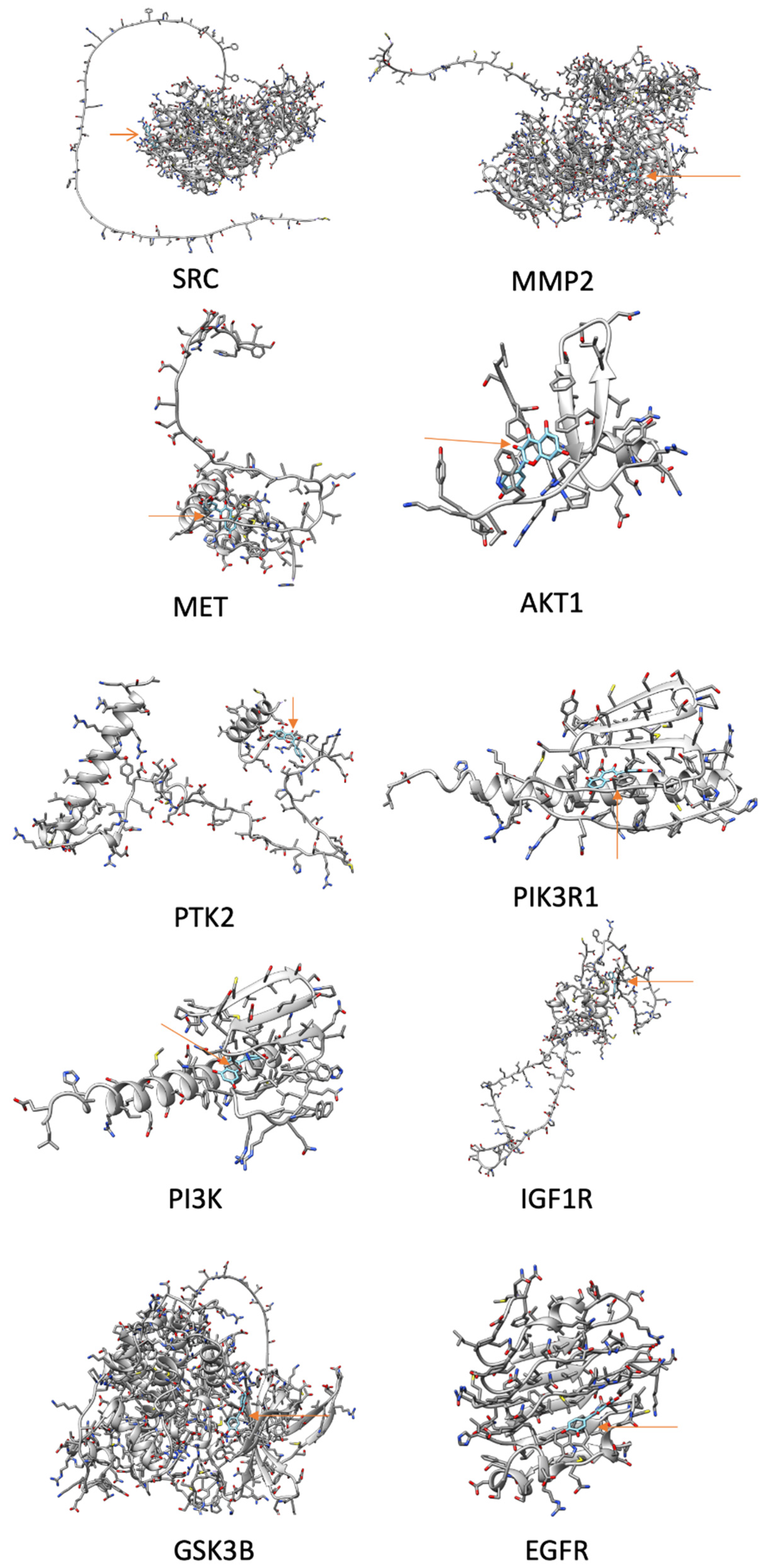 Preprints 110246 g009