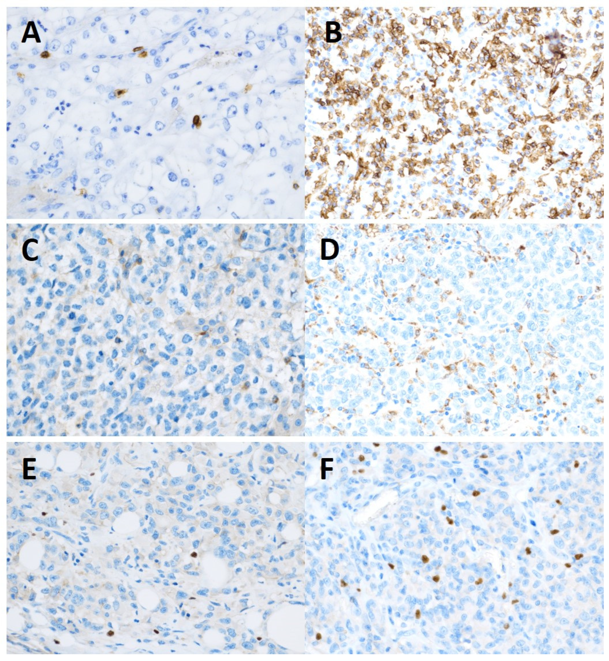 Preprints 67448 g001