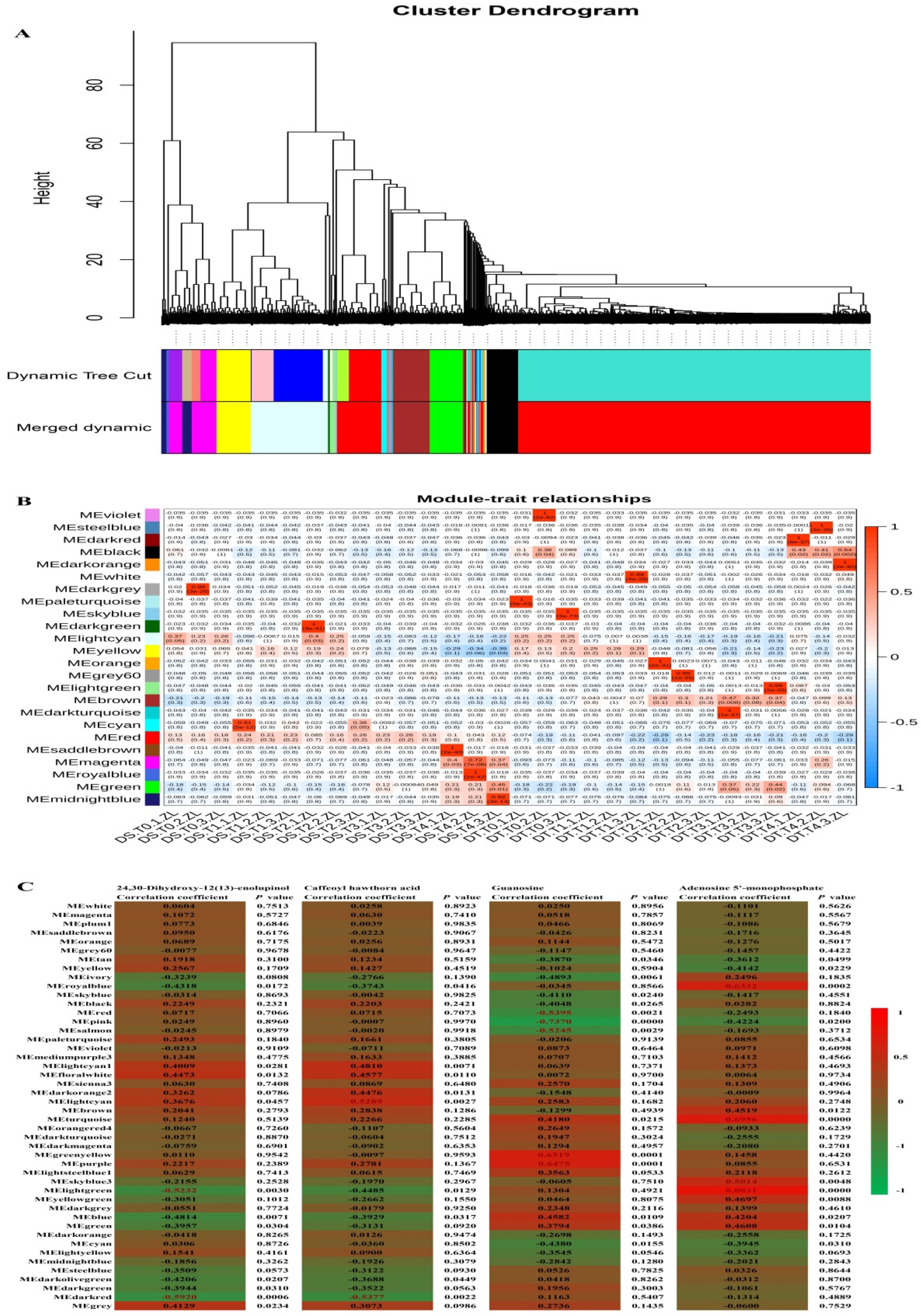 Preprints 86655 g005