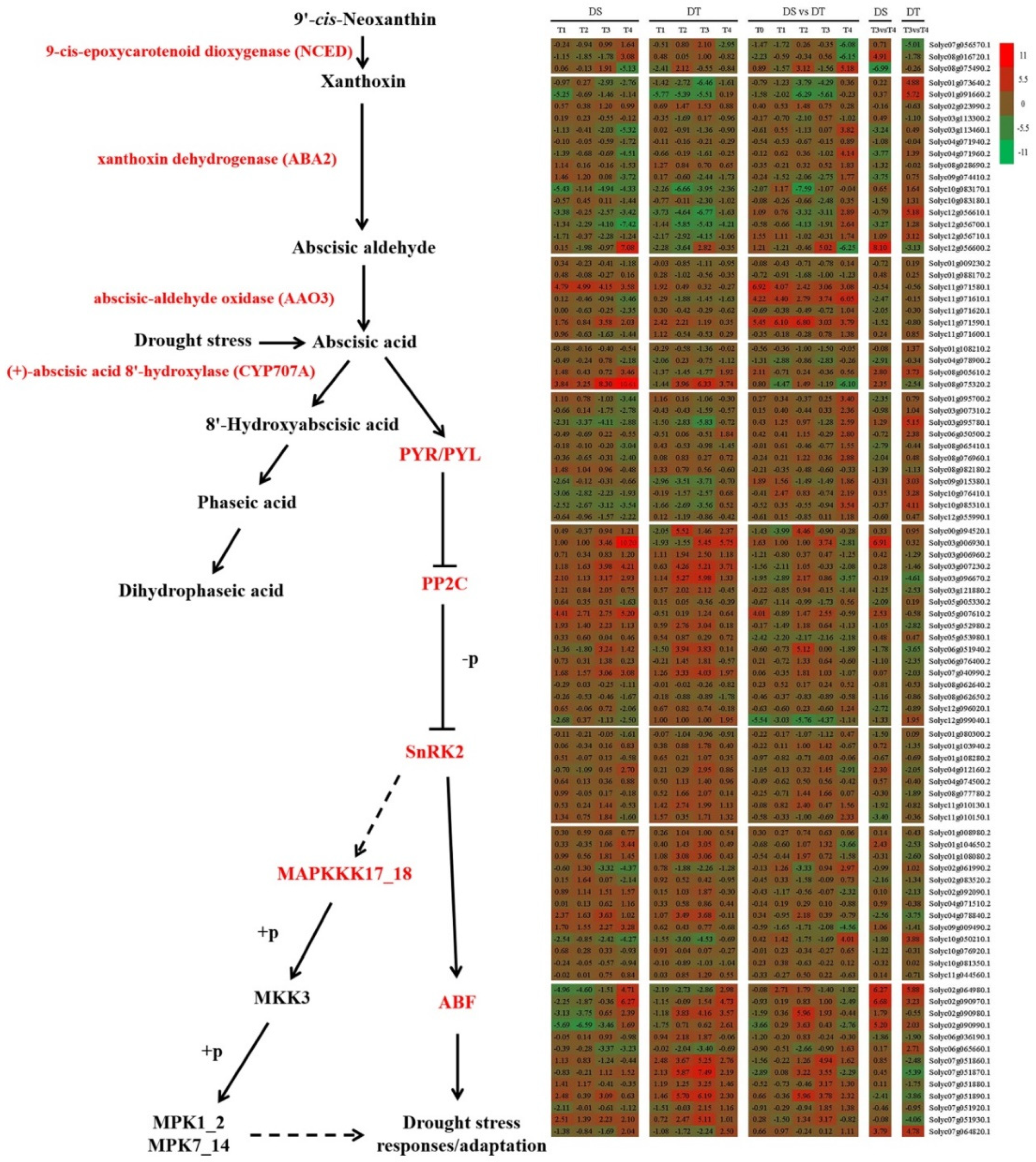 Preprints 86655 g006