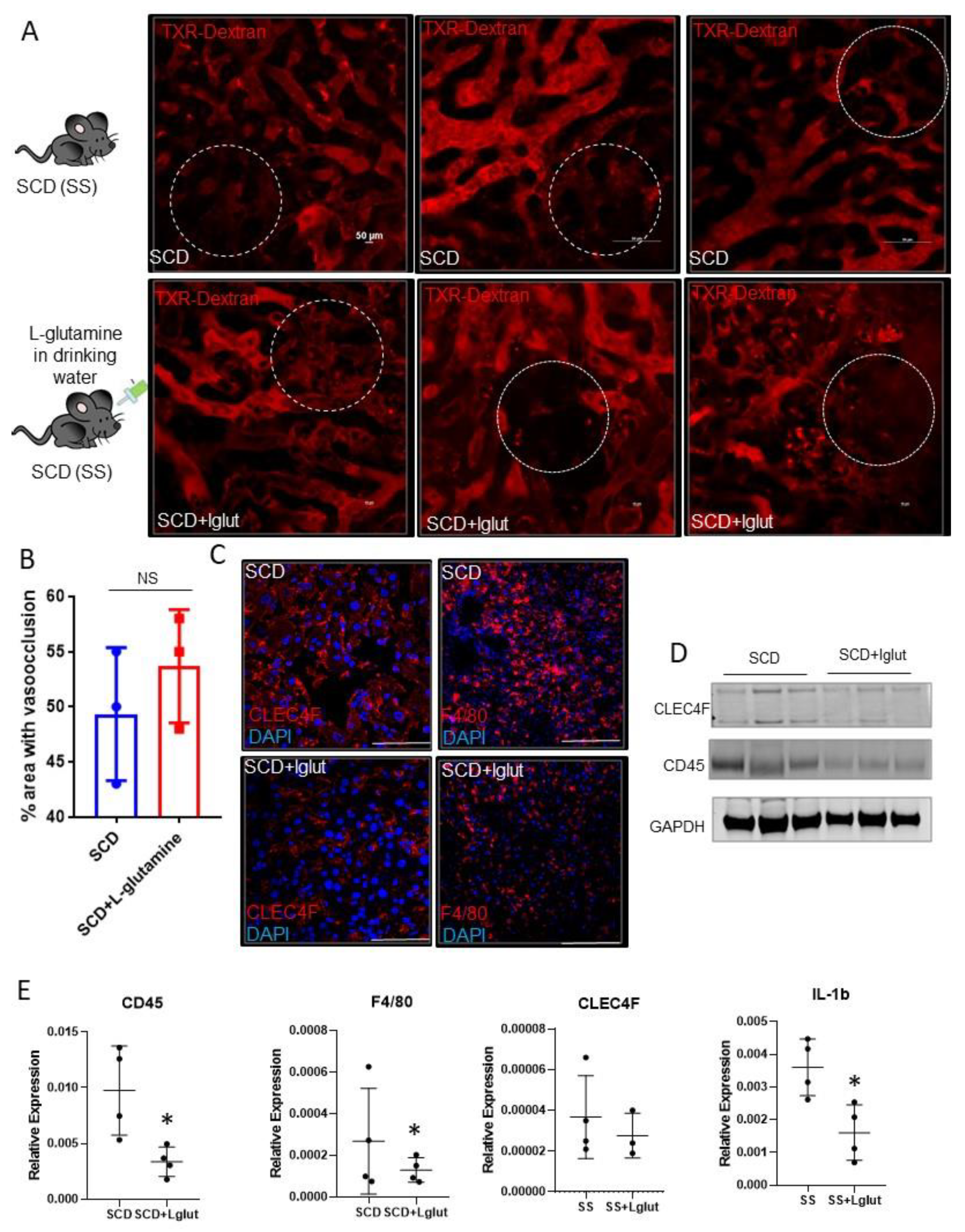 Preprints 80888 g001