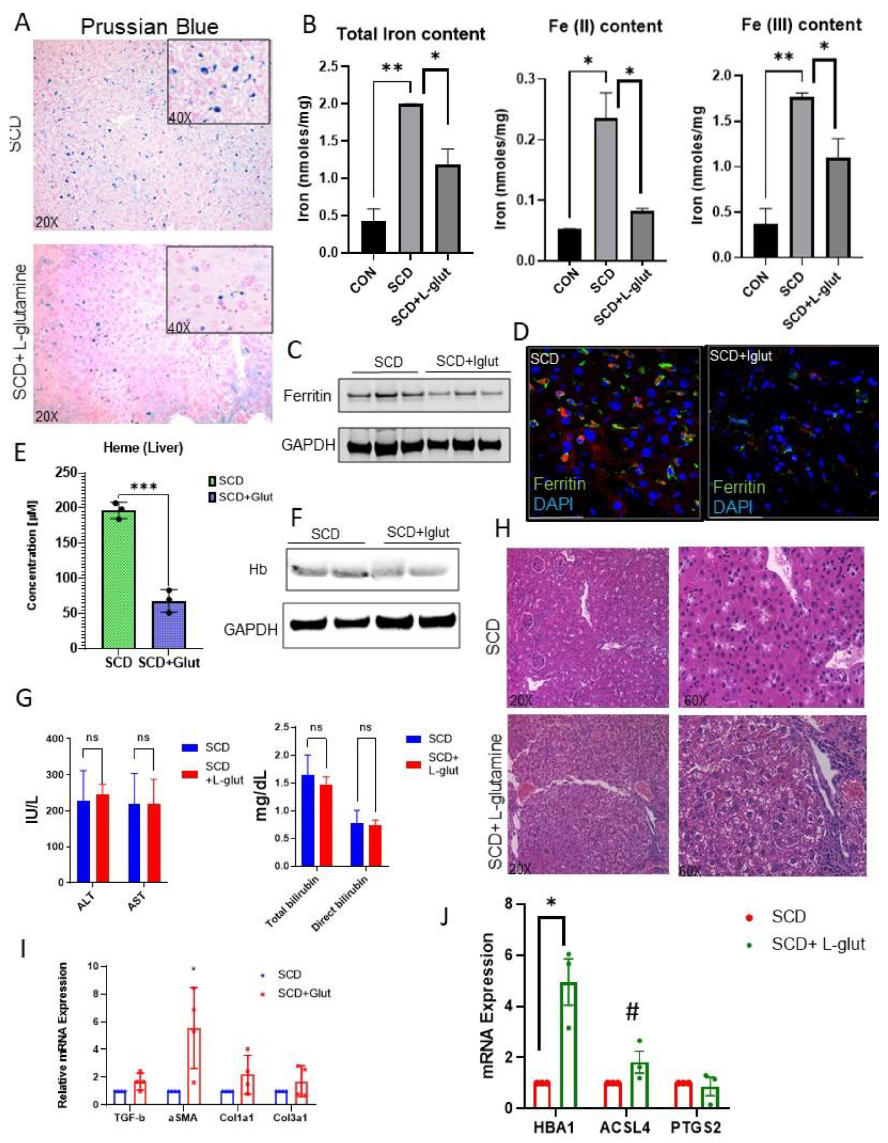 Preprints 80888 g002