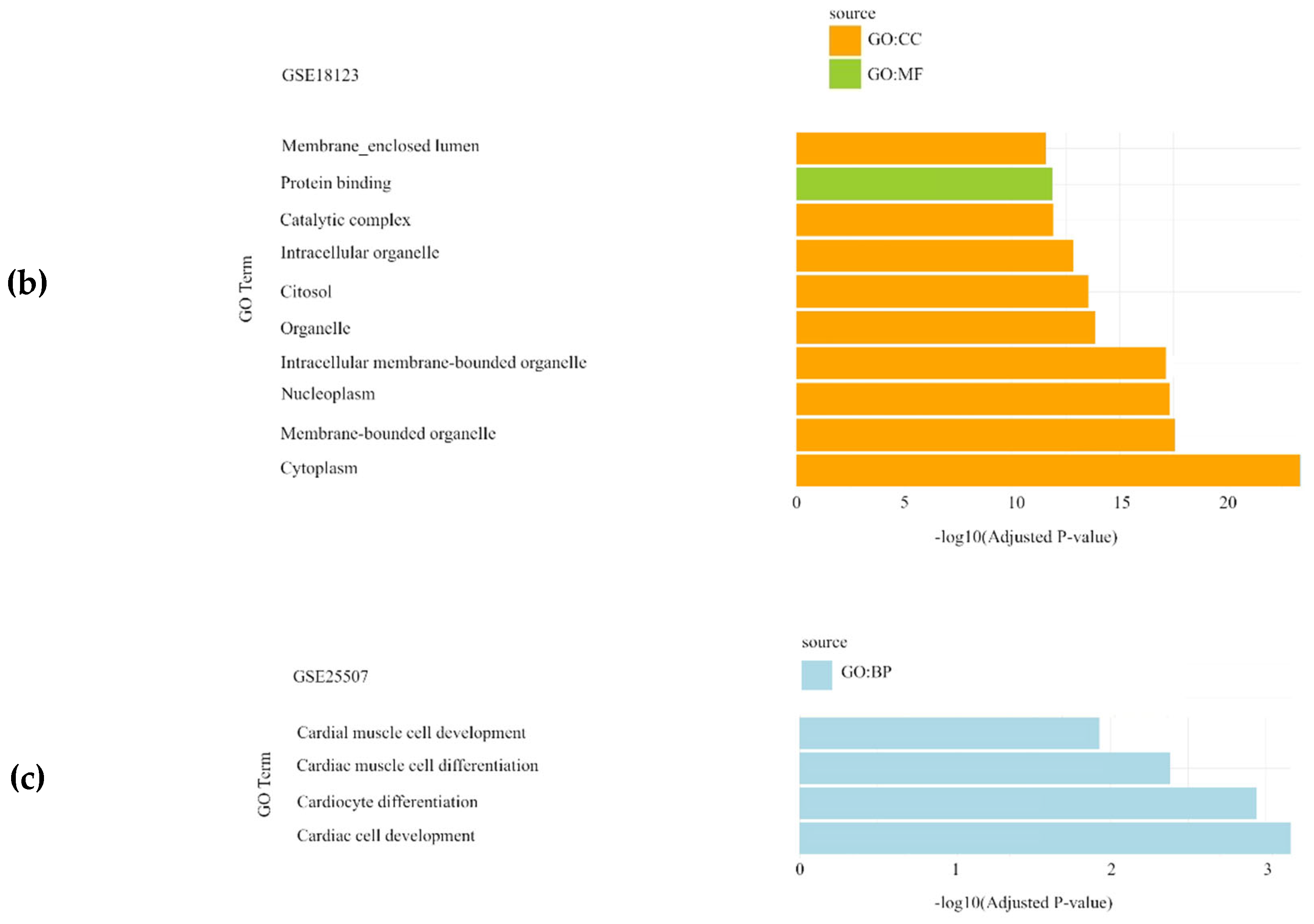 Preprints 137359 g001b