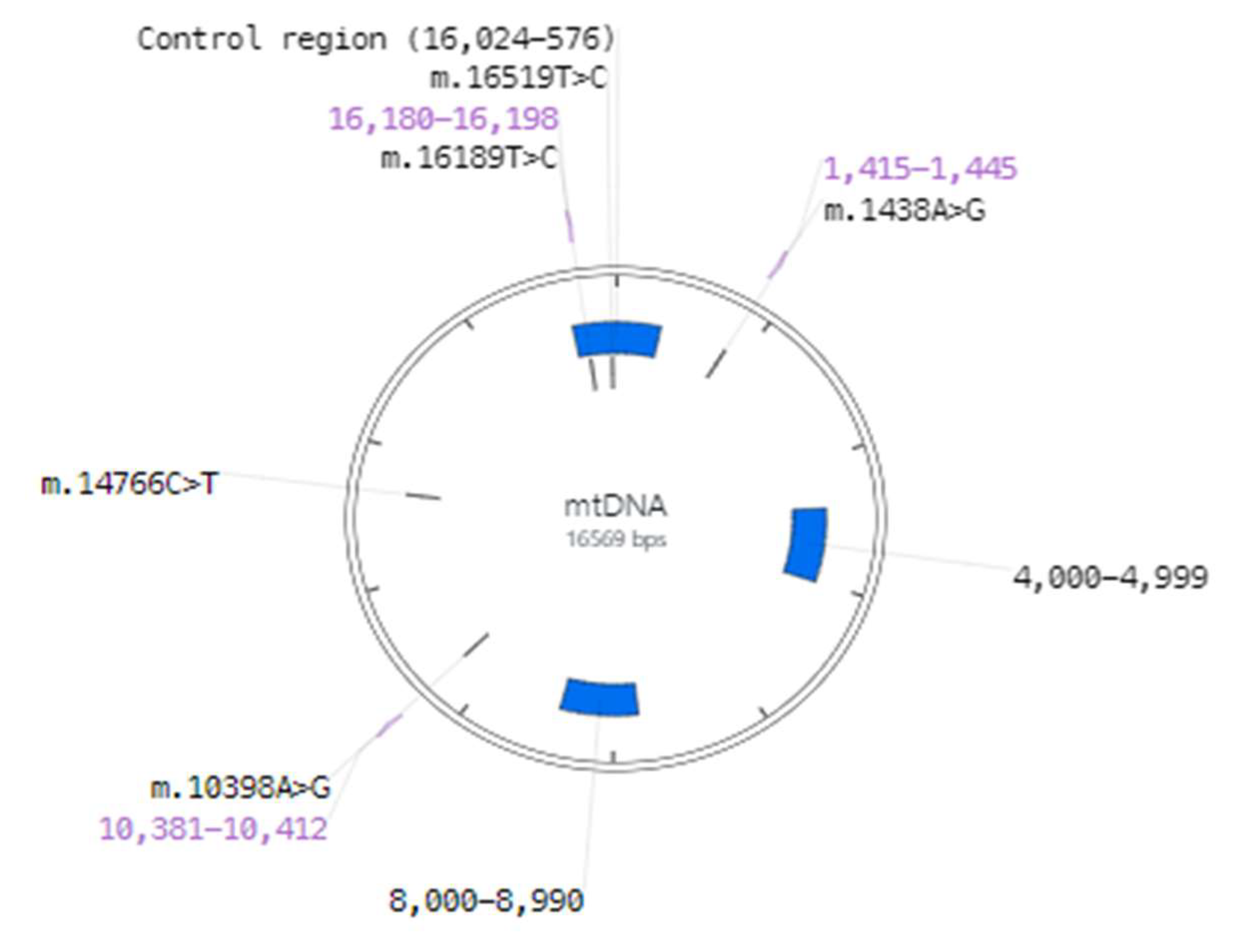 Preprints 113727 g003