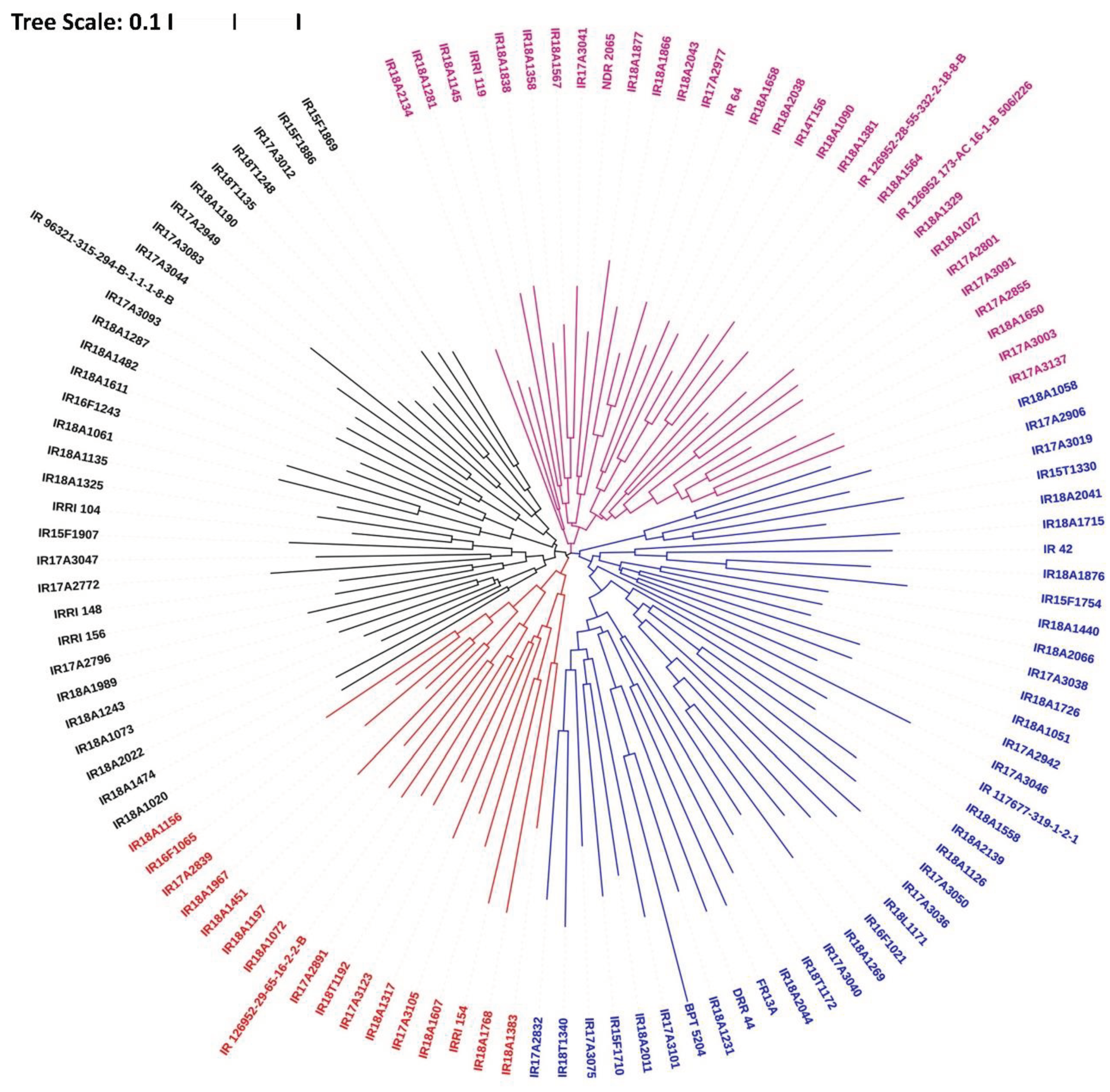 Preprints 101725 g004