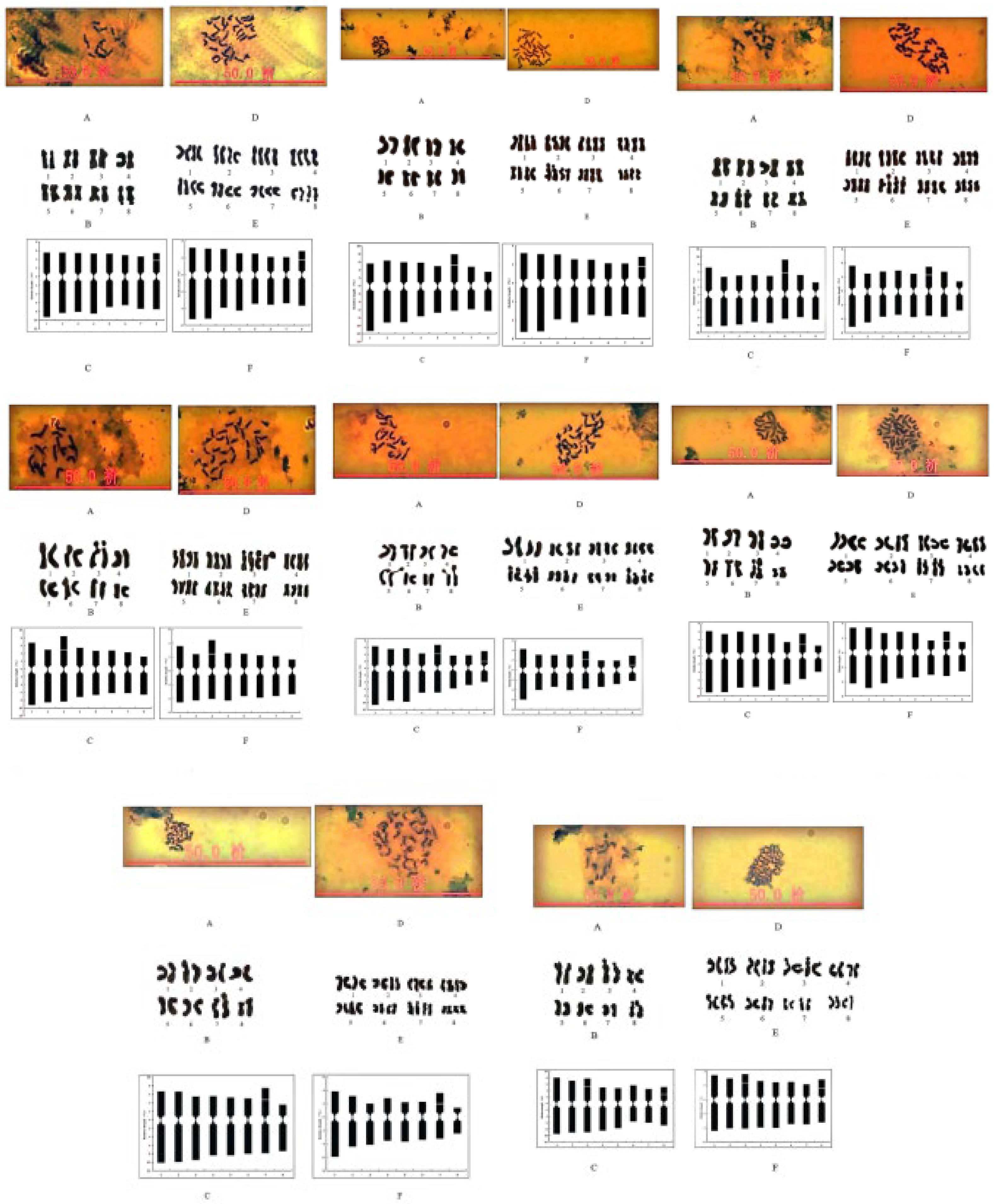 Preprints 119778 g001