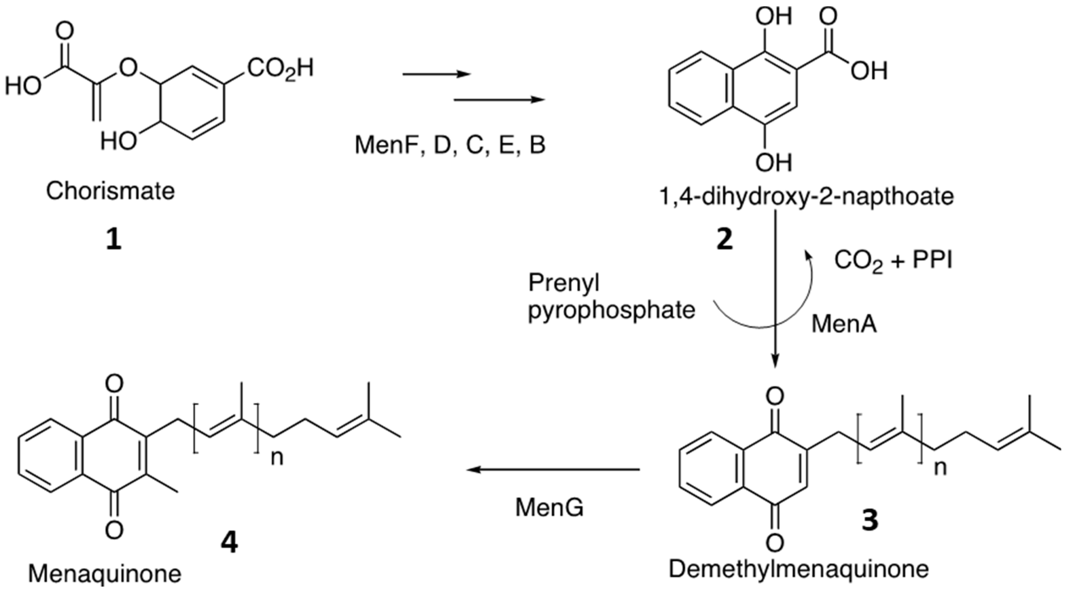 Preprints 95393 g001