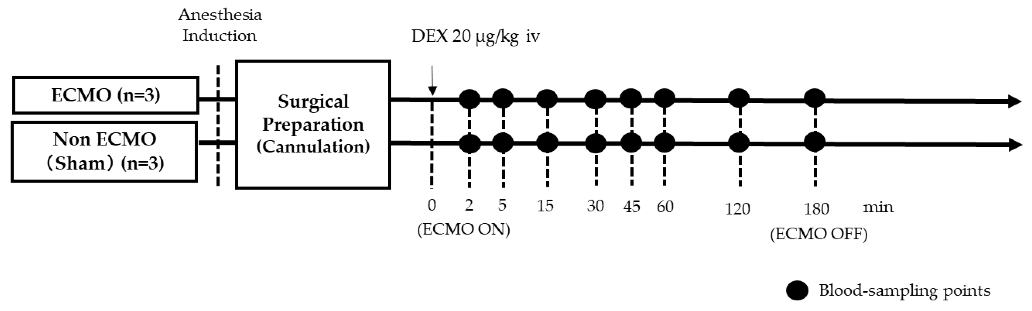 Preprints 117692 g001