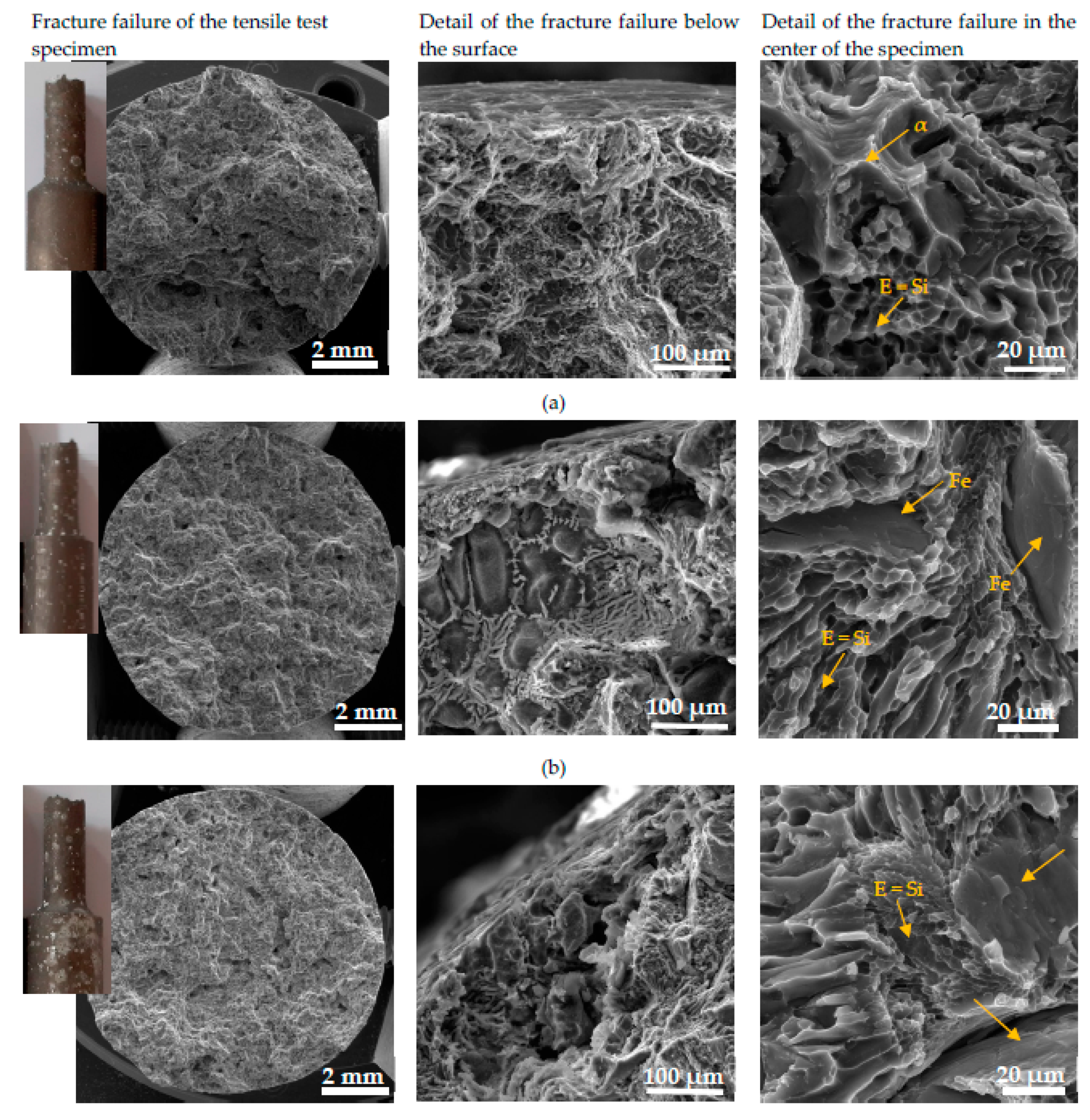 Preprints 71833 g012