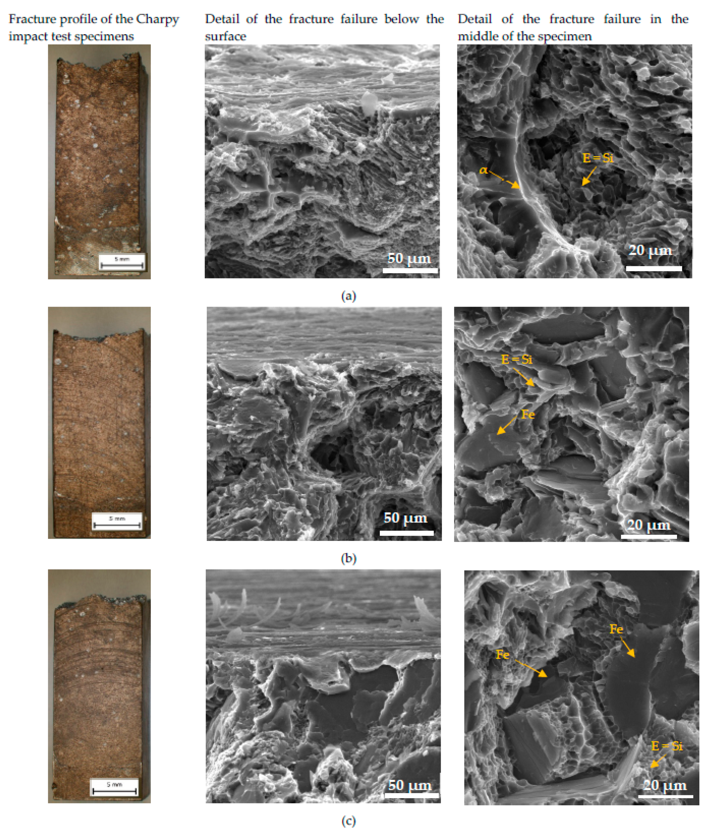 Preprints 71833 g013