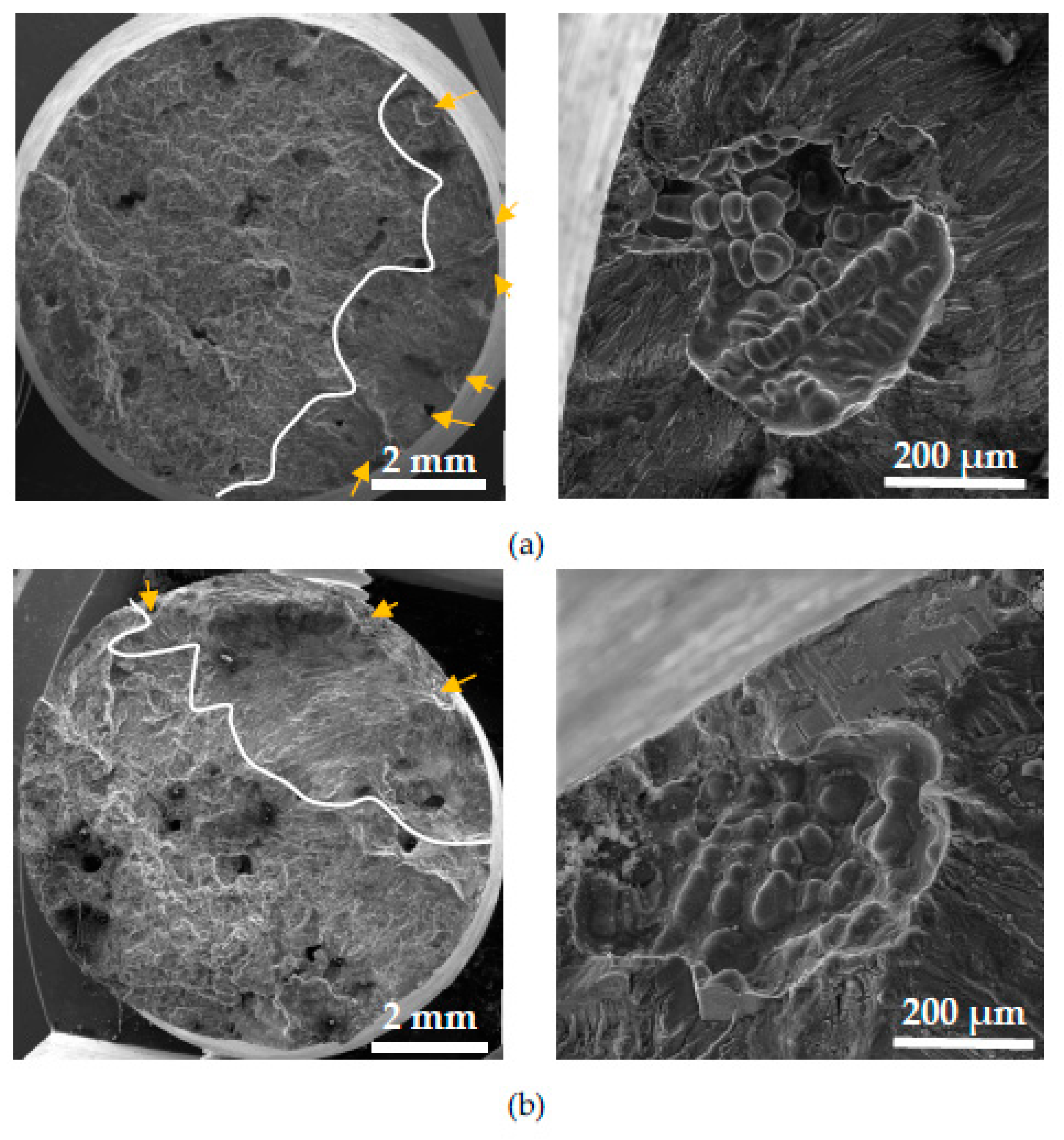 Preprints 71833 g014