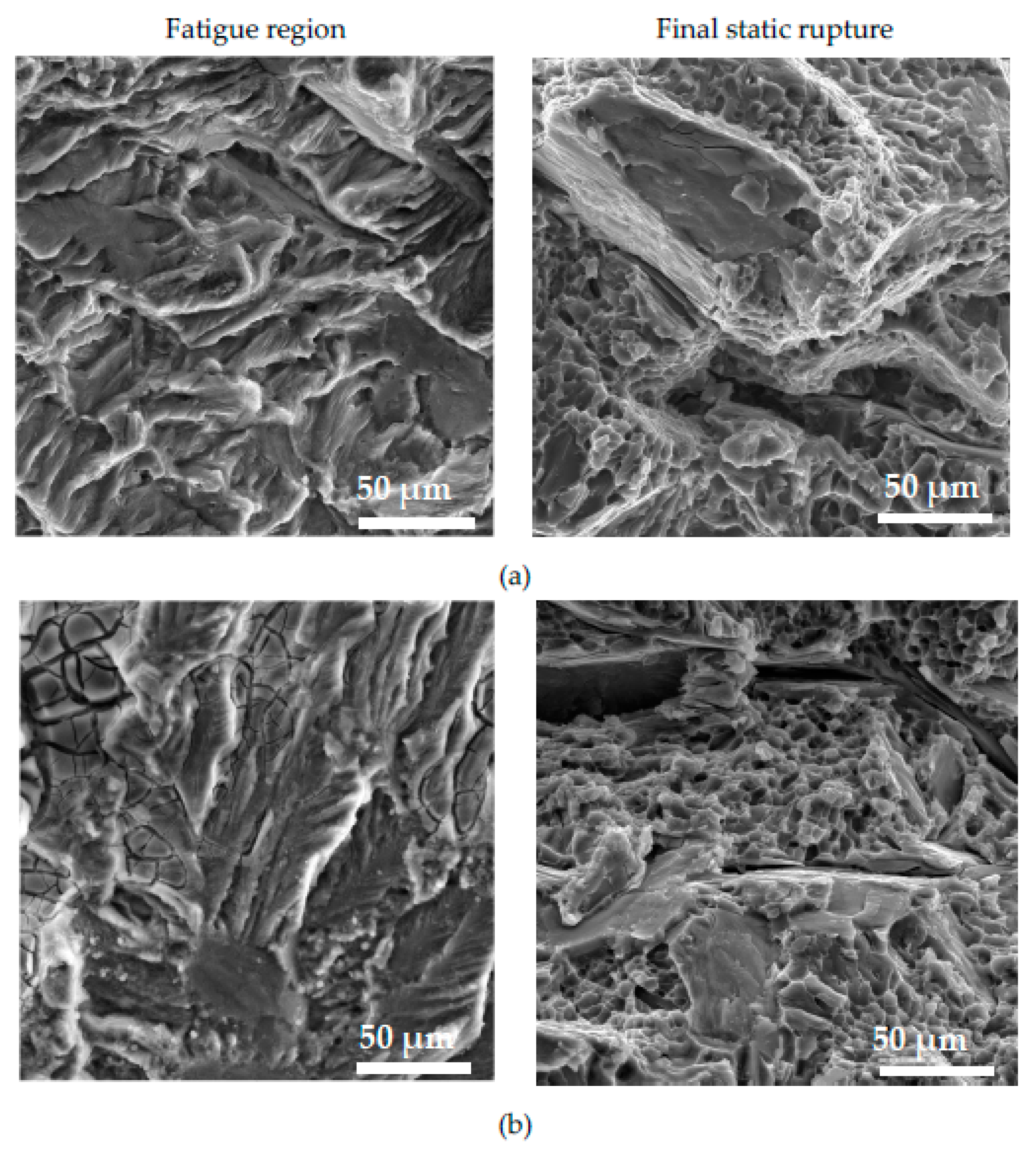 Preprints 71833 g015