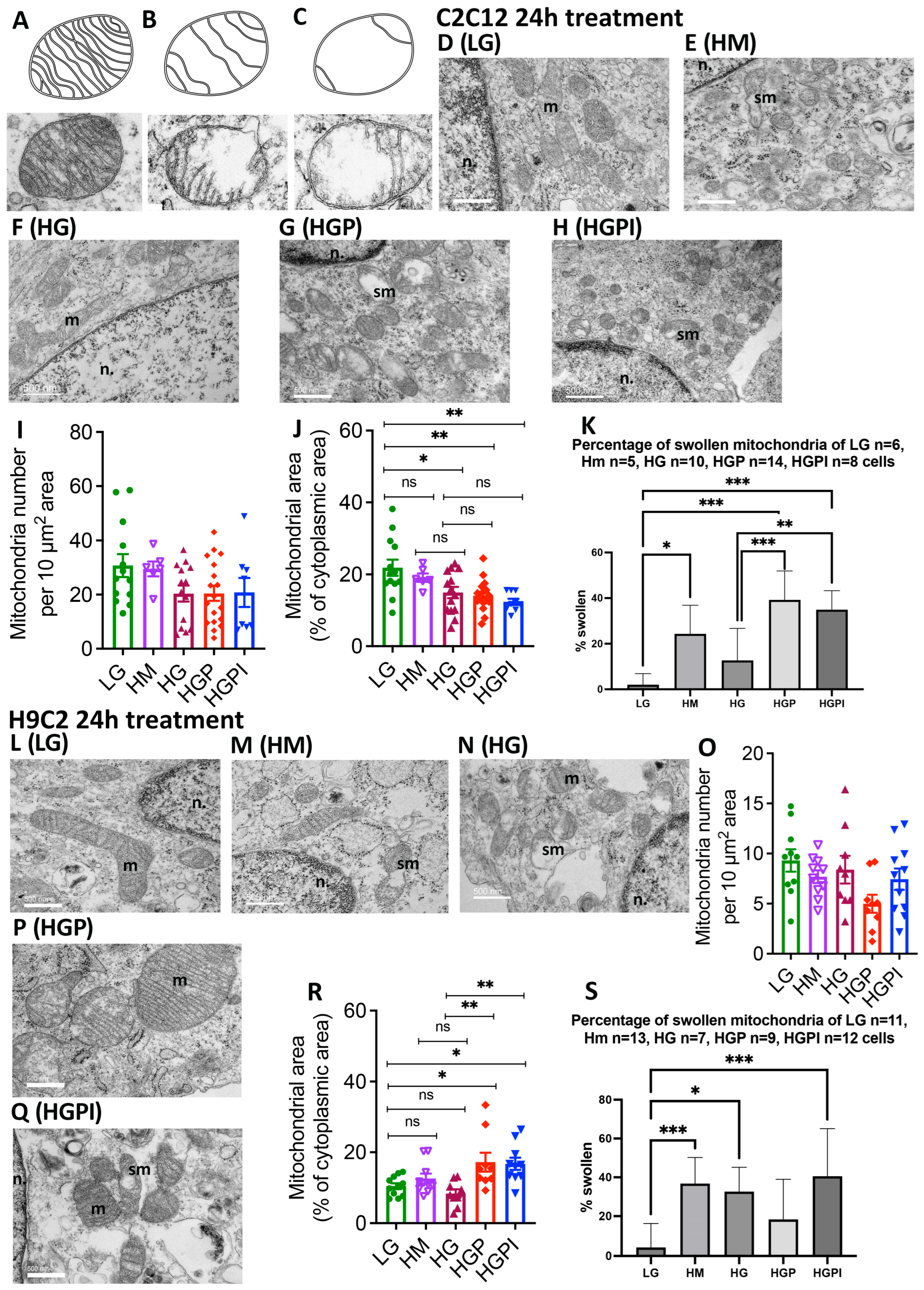 Preprints 89913 g003