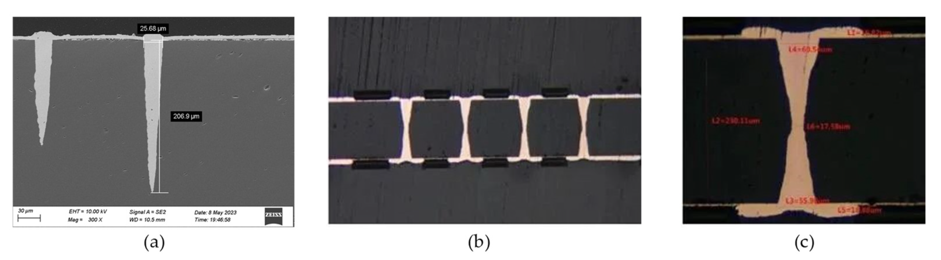 Preprints 91920 g006