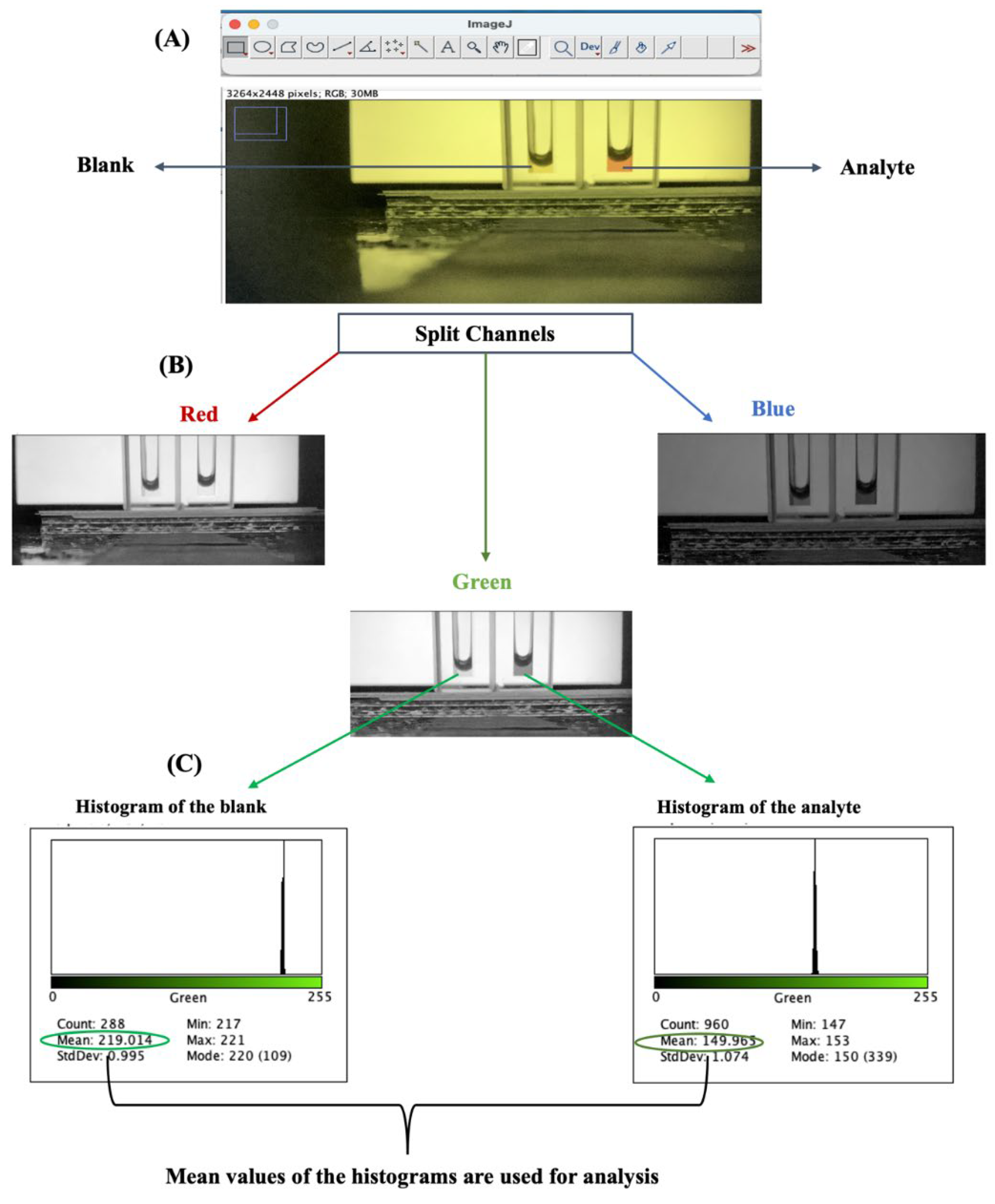 Preprints 106068 g003