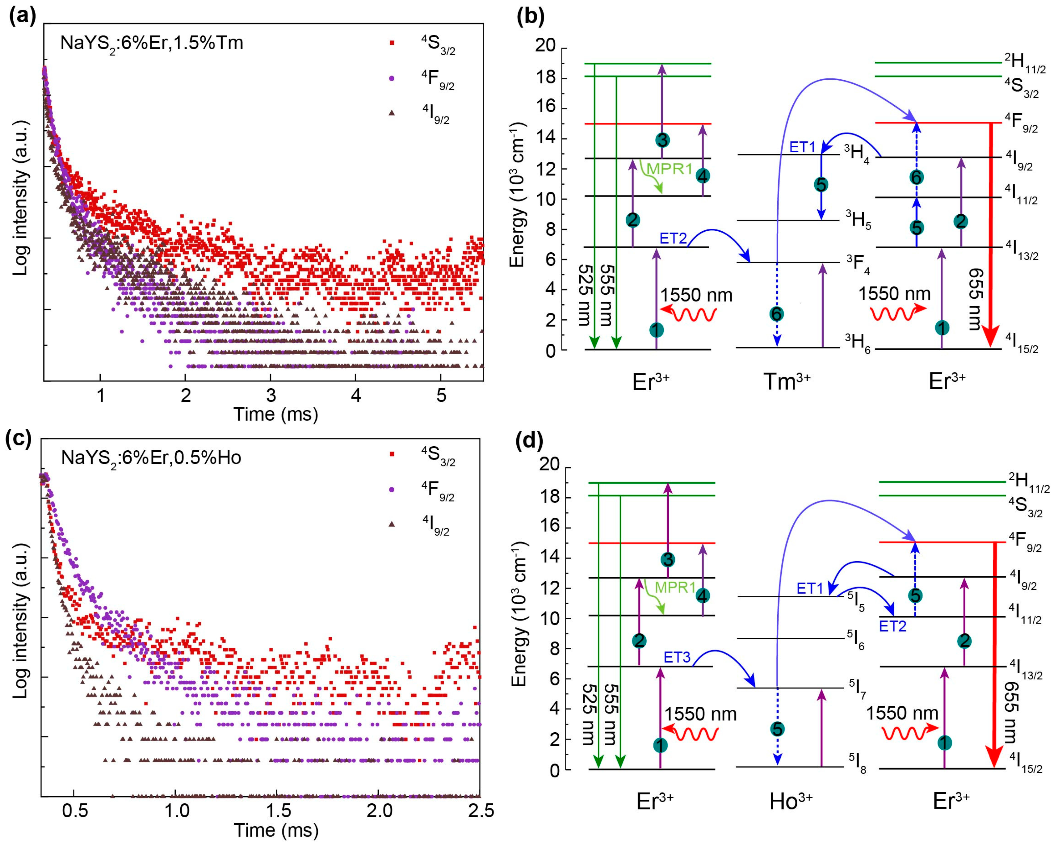 Preprints 91371 g004