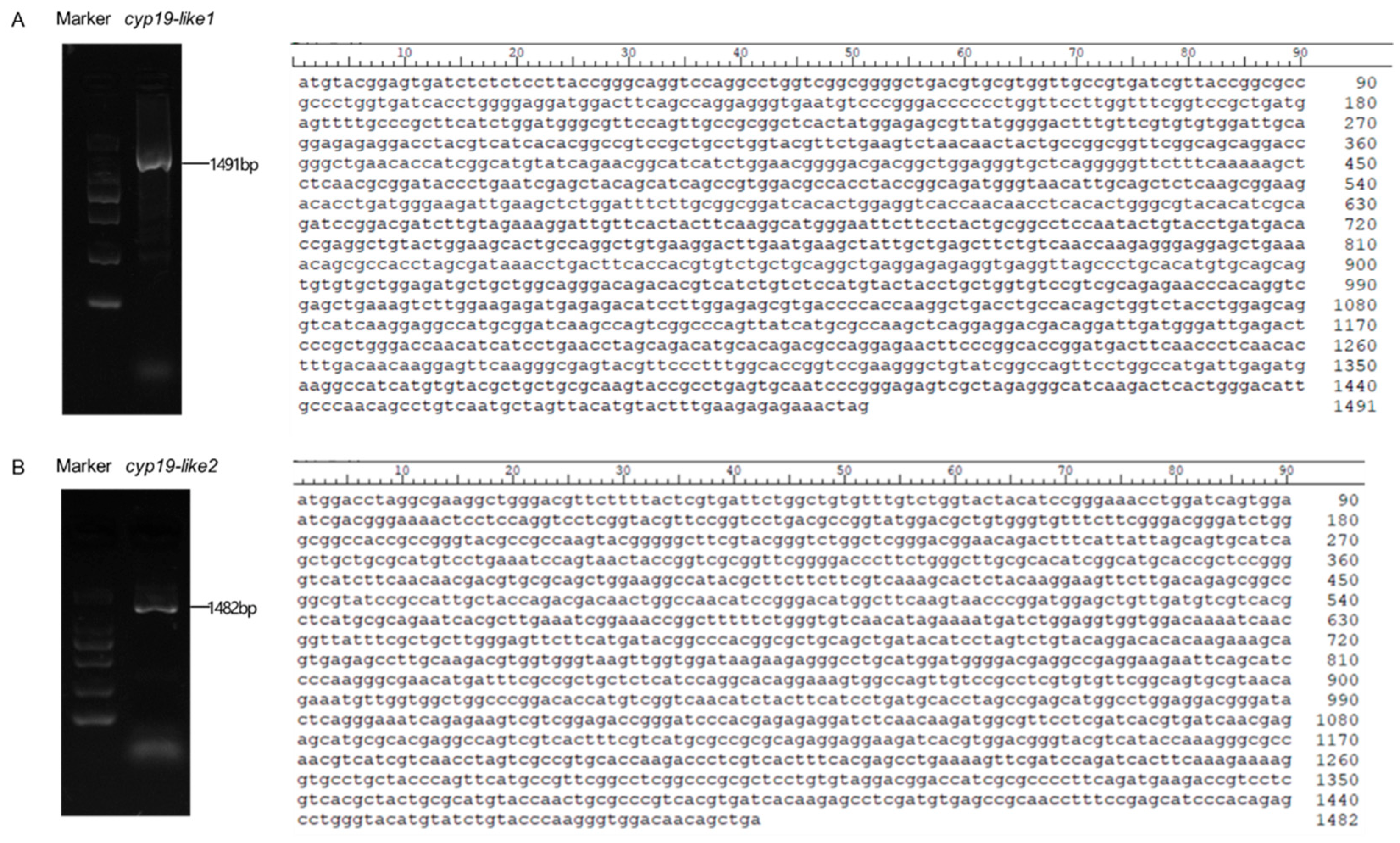 Preprints 100324 g001