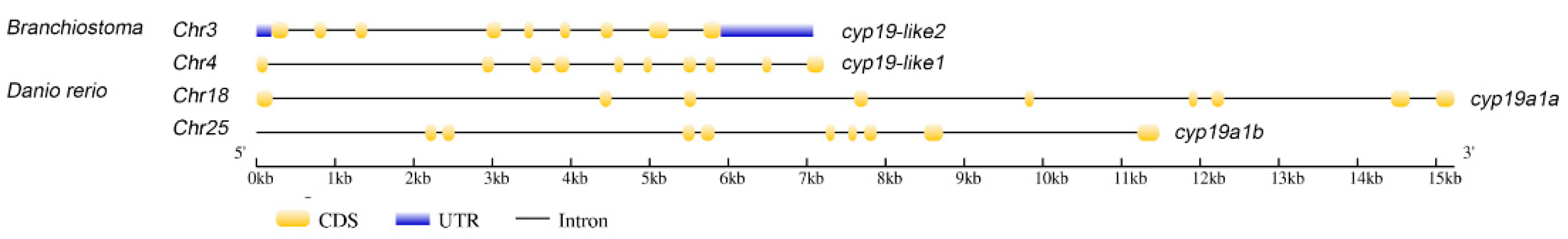 Preprints 100324 g002