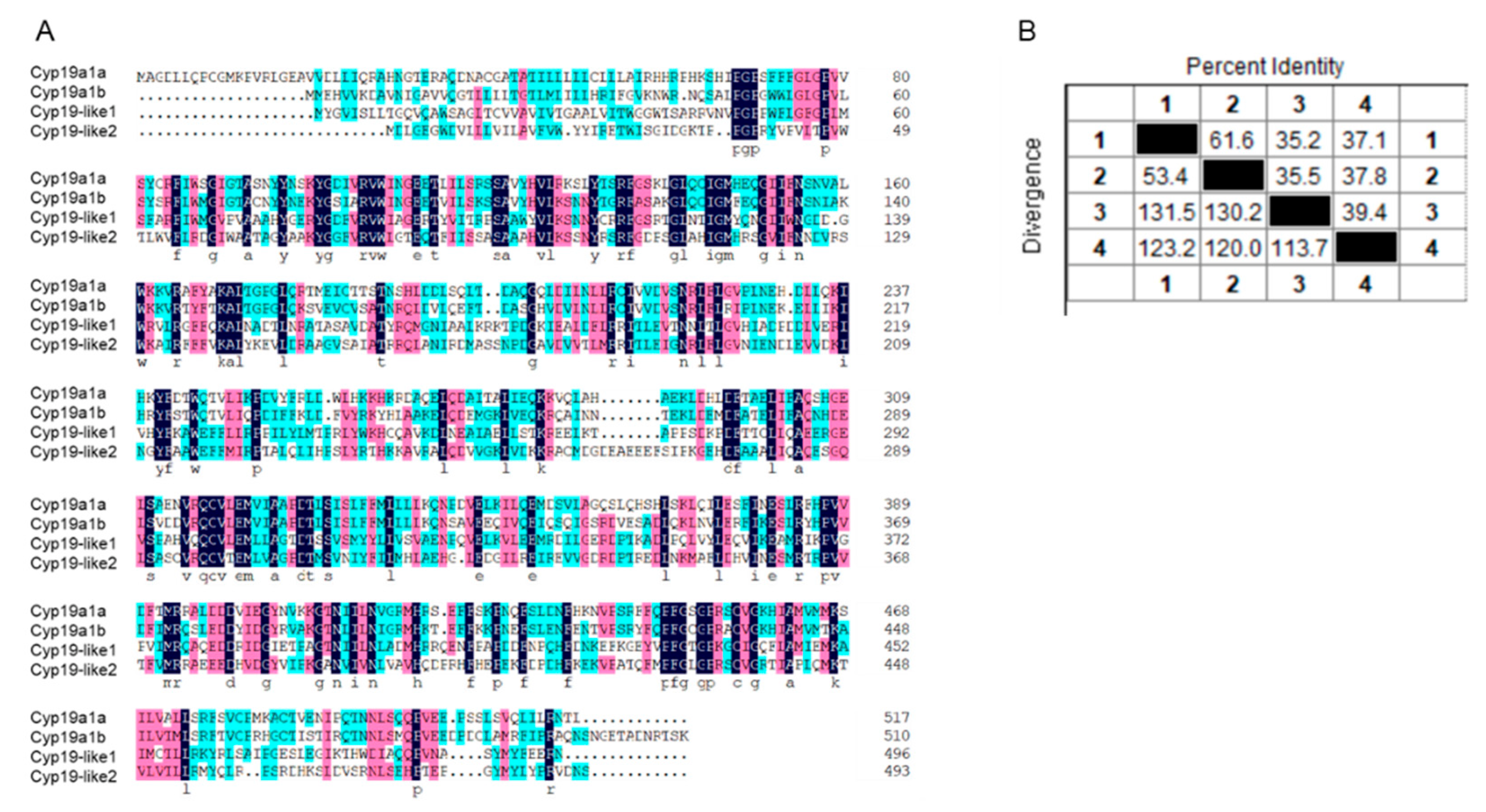 Preprints 100324 g003