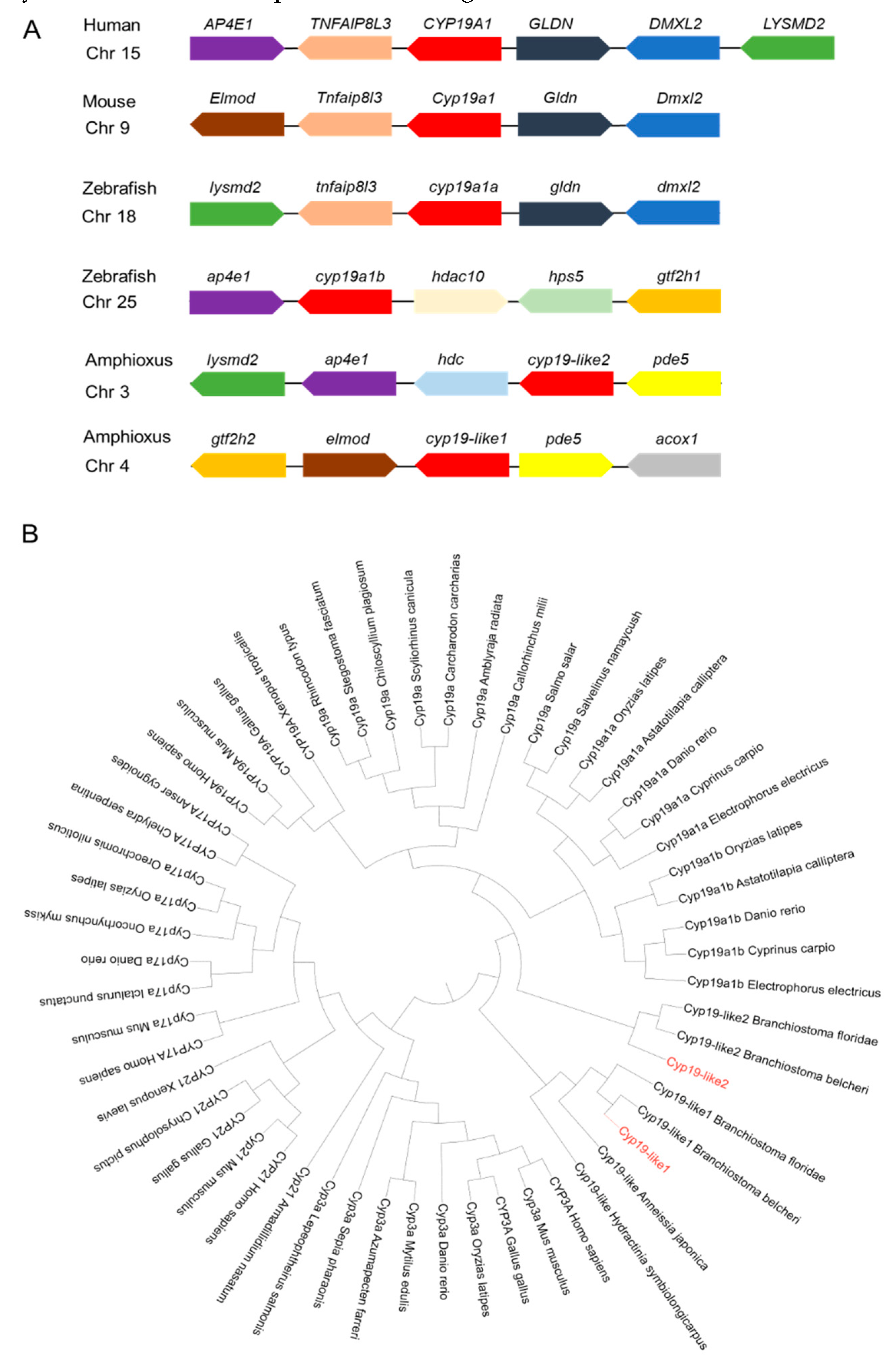 Preprints 100324 g005