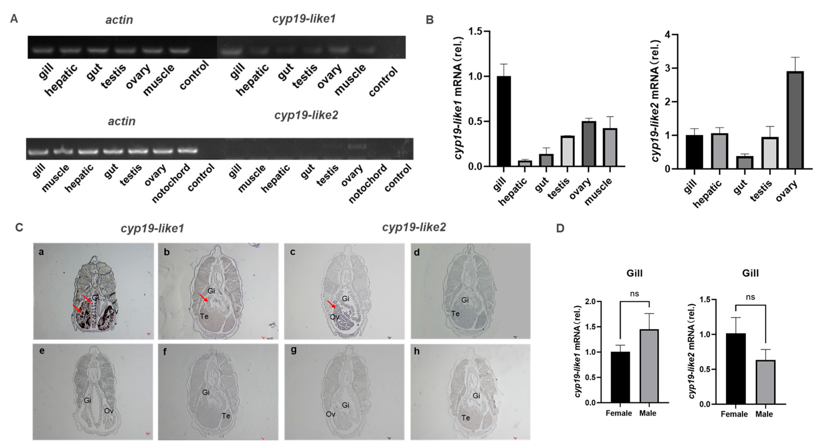 Preprints 100324 g006