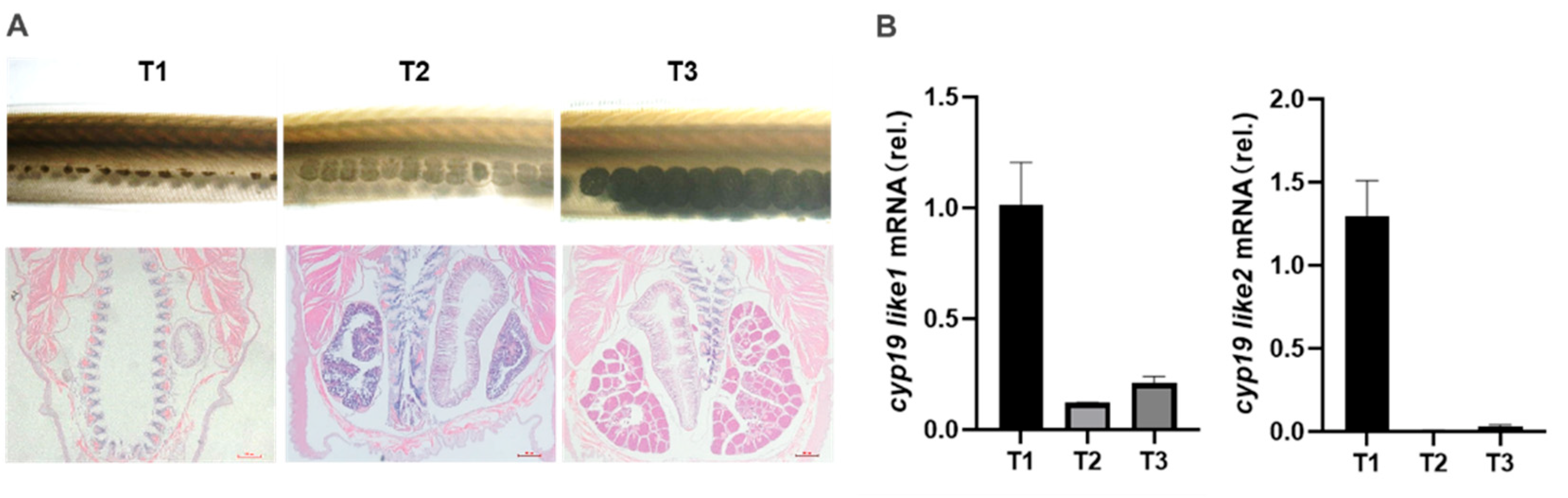 Preprints 100324 g007