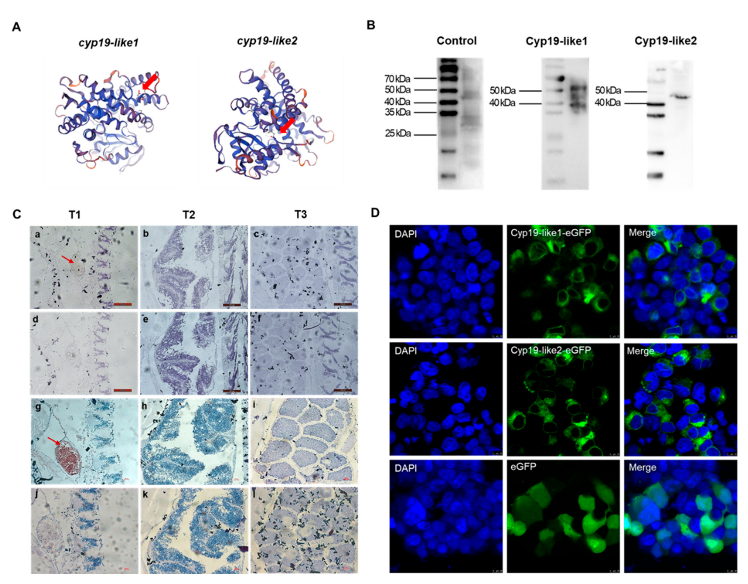 Preprints 100324 g008