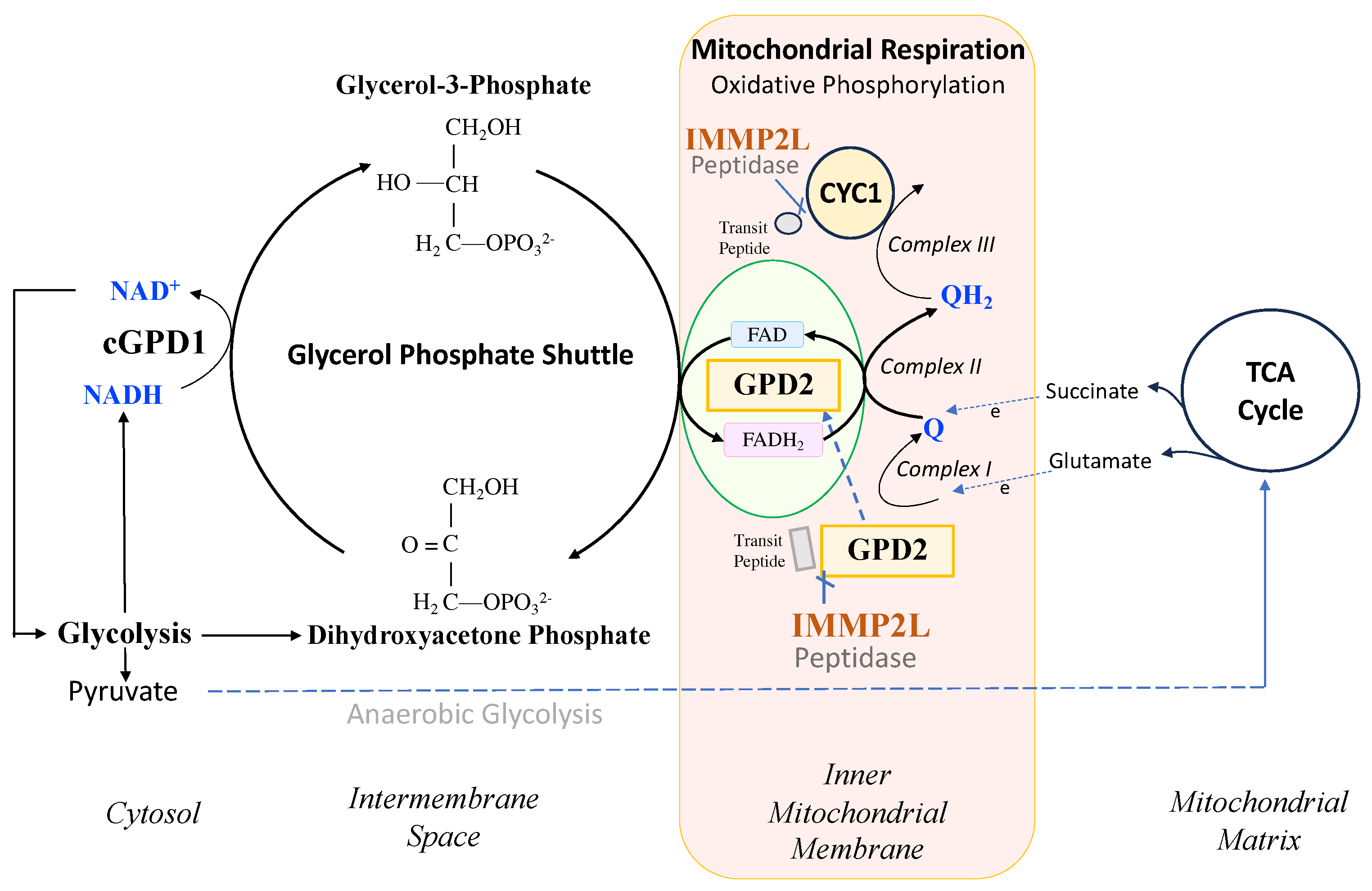 Preprints 92570 g001