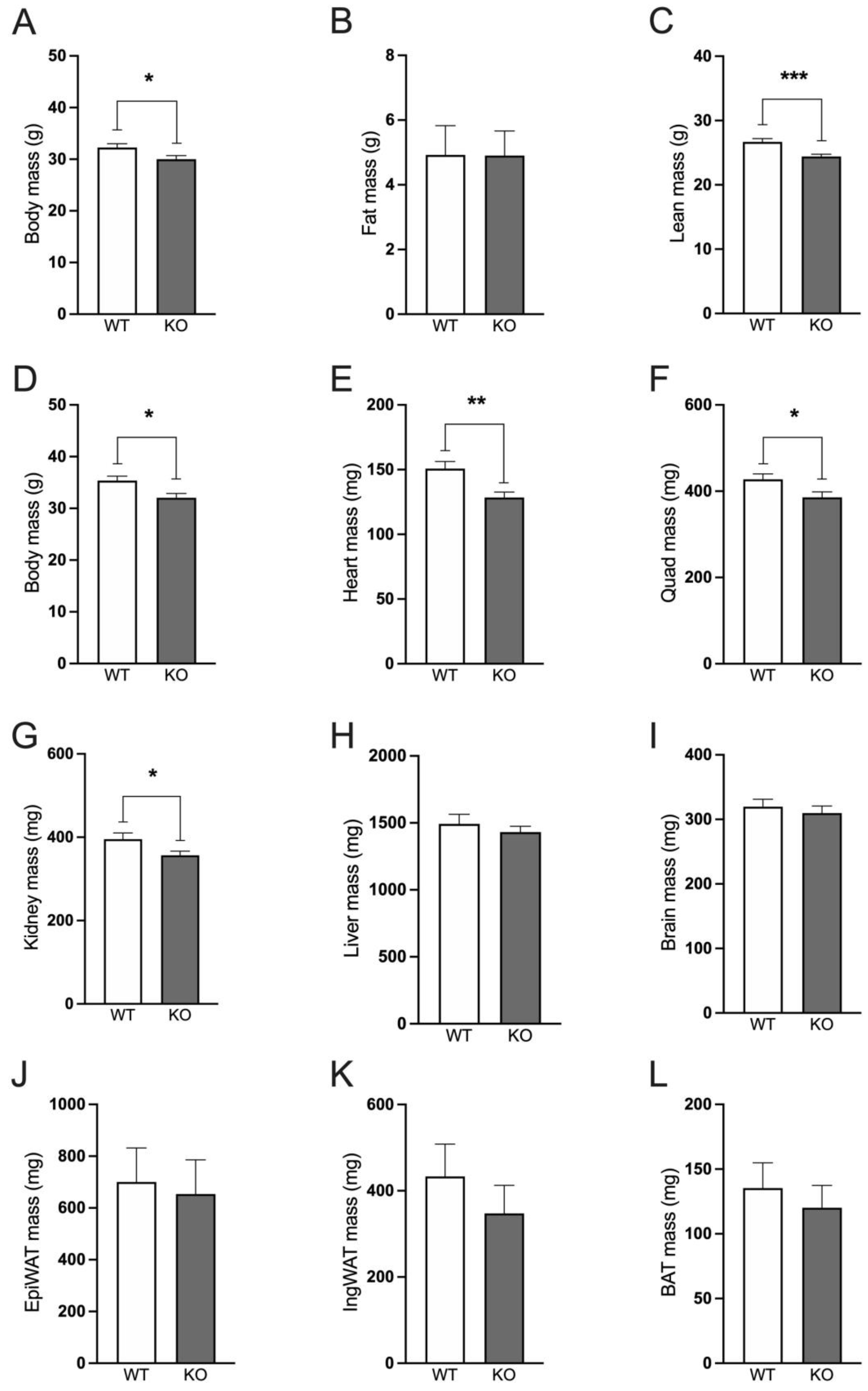 Preprints 92570 g002